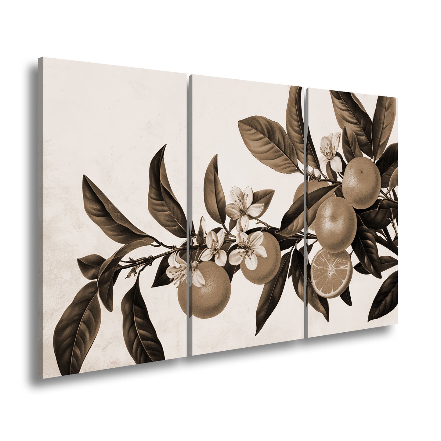 Hauptbild Sepia 3 Teilig