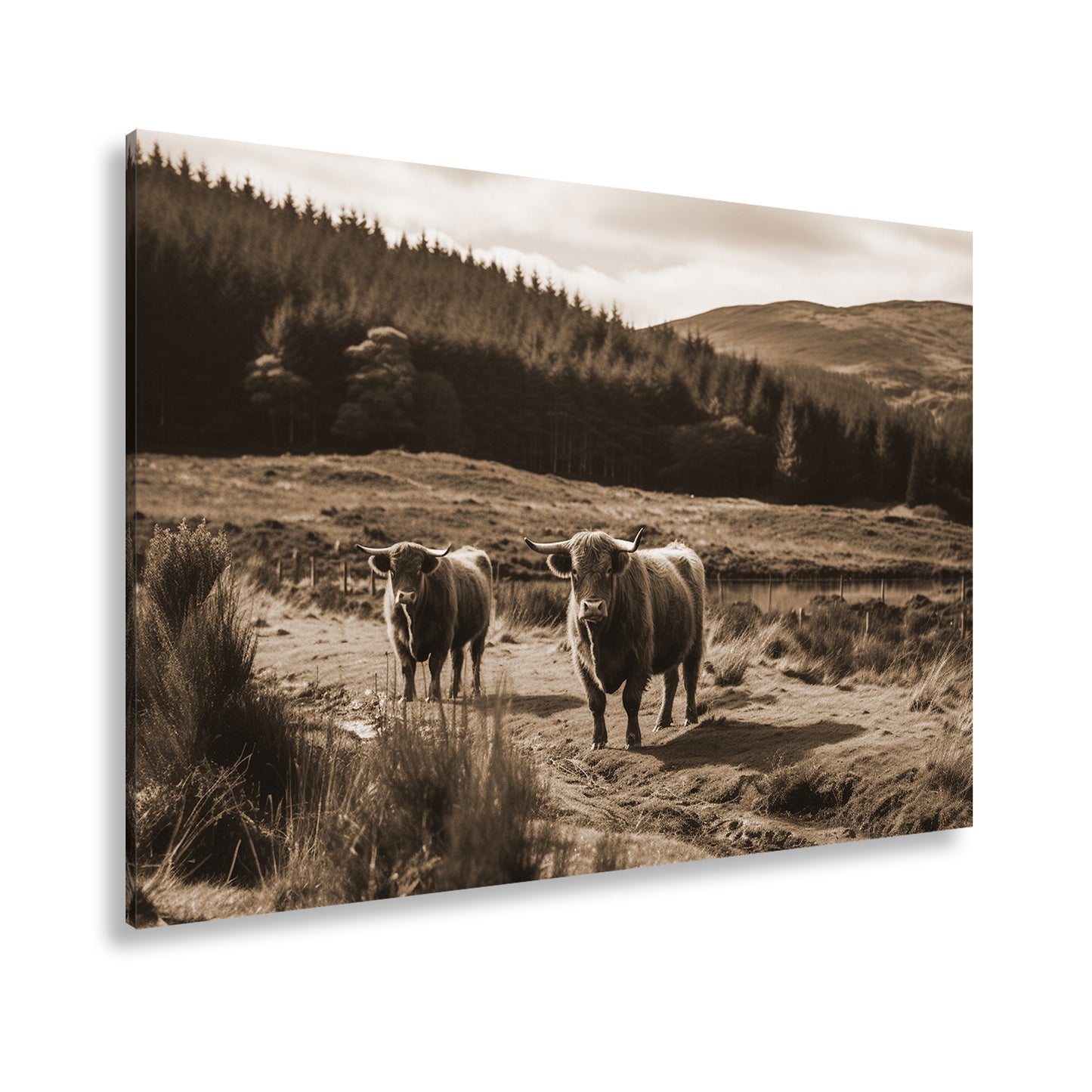 Hauptbild Sepia Standart