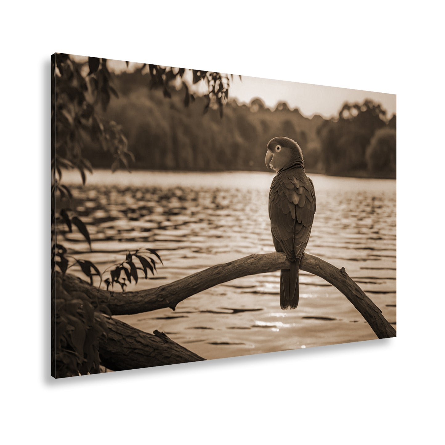 Hauptbild Sepia Standart