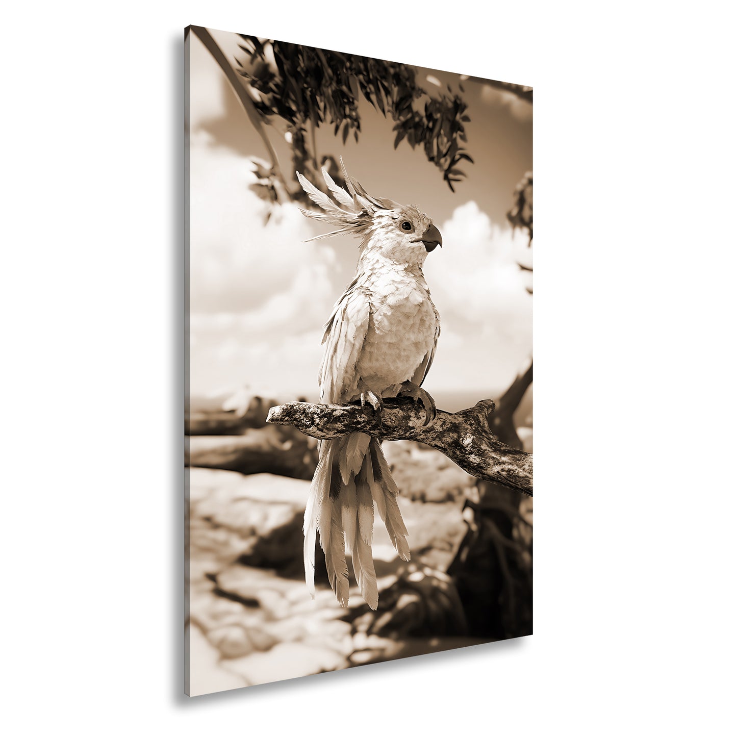 Hauptbild Sepia Standart