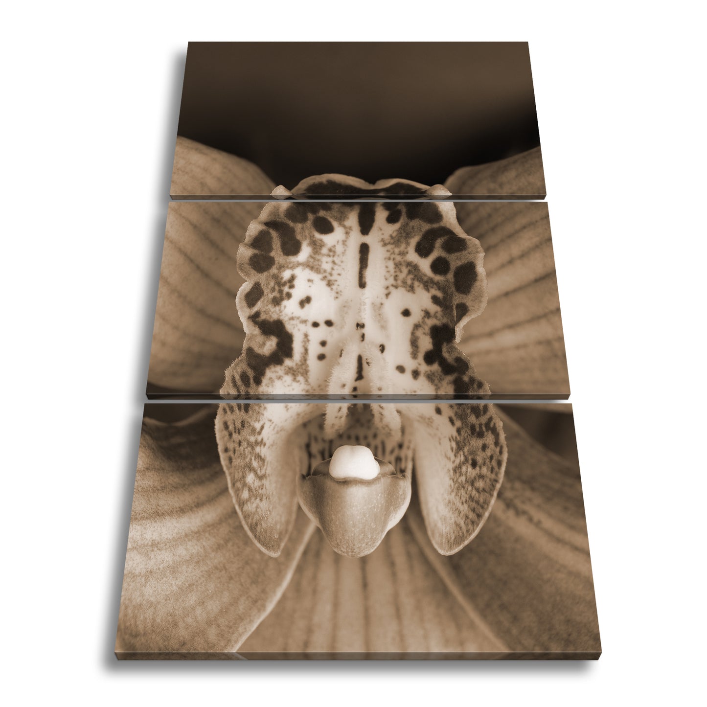 Hauptbild Sepia 3 Teilig