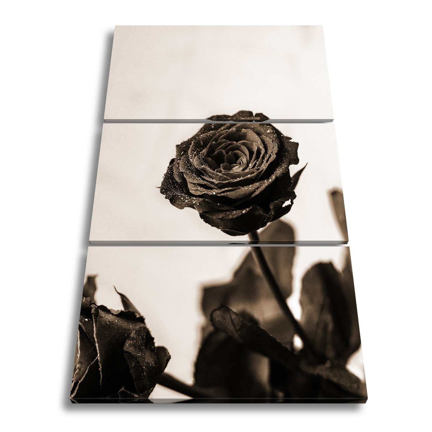 Hauptbild Sepia 3 Teilig