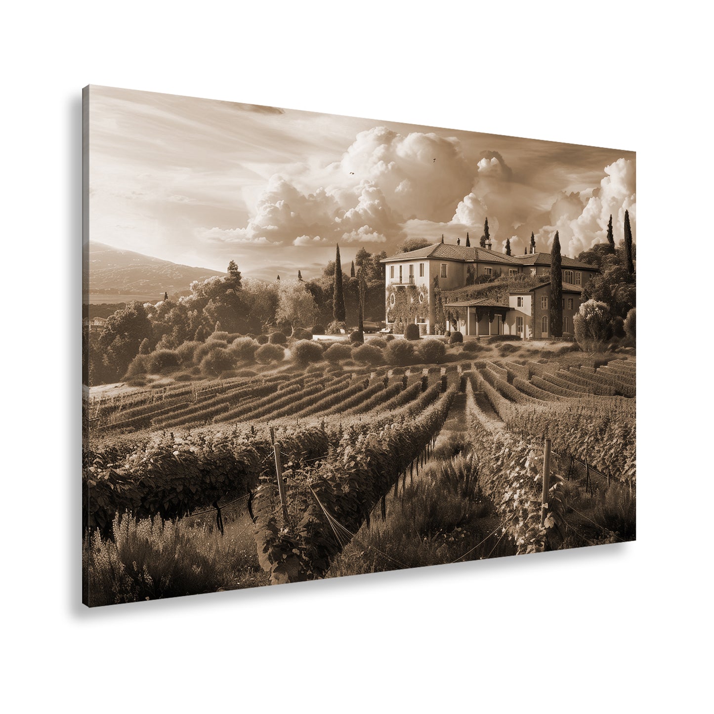 Hauptbild Sepia Standart