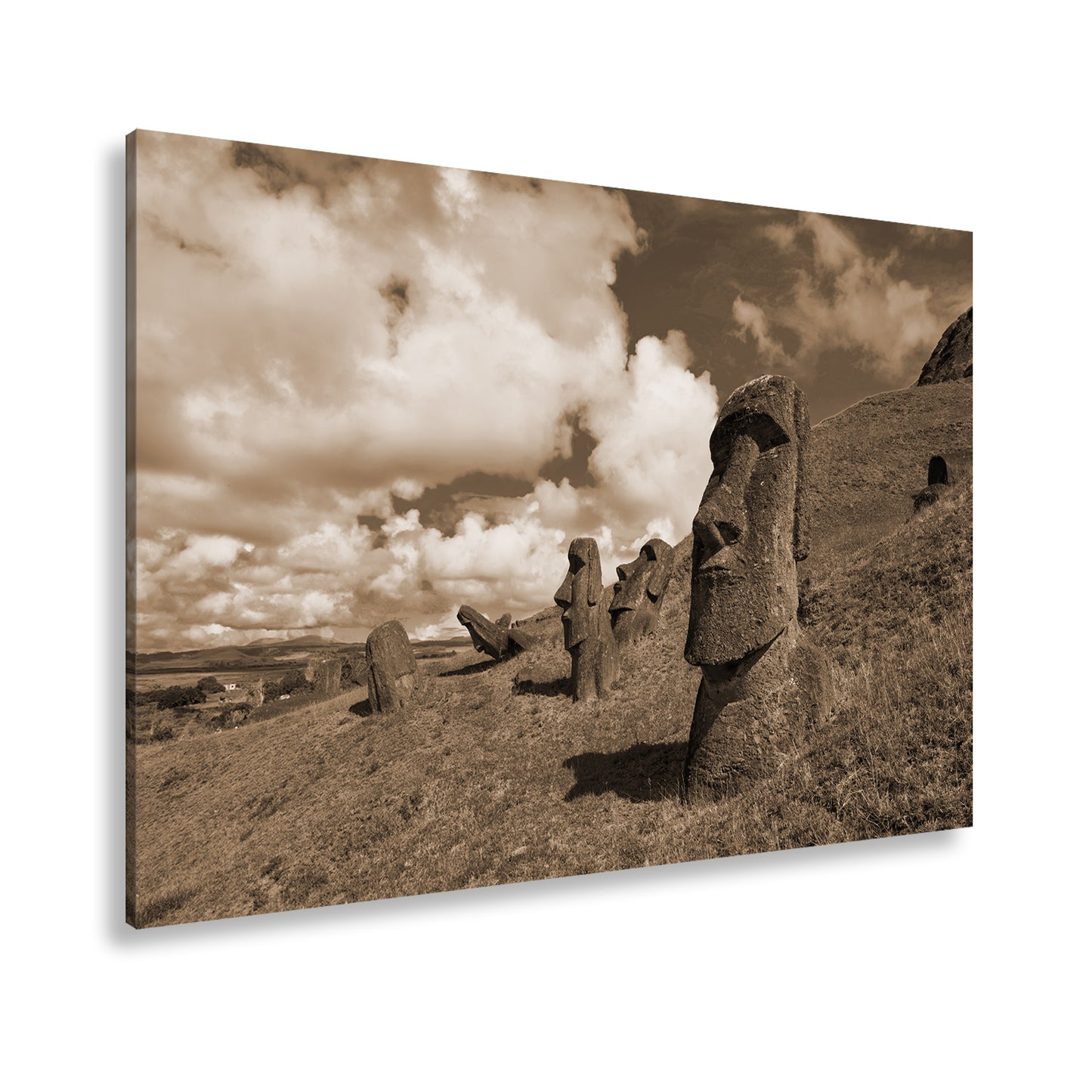 Hauptbild Sepia Standart