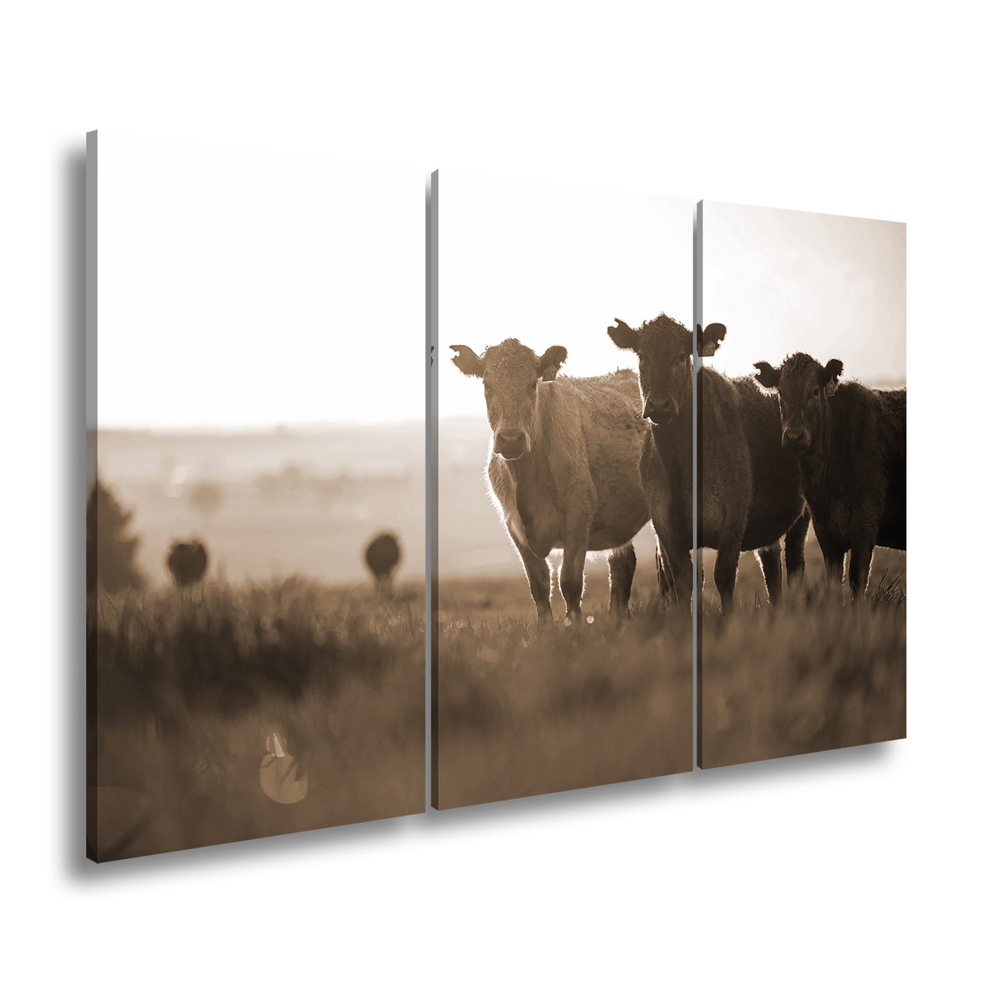 Hauptbild Sepia 3 Teilig