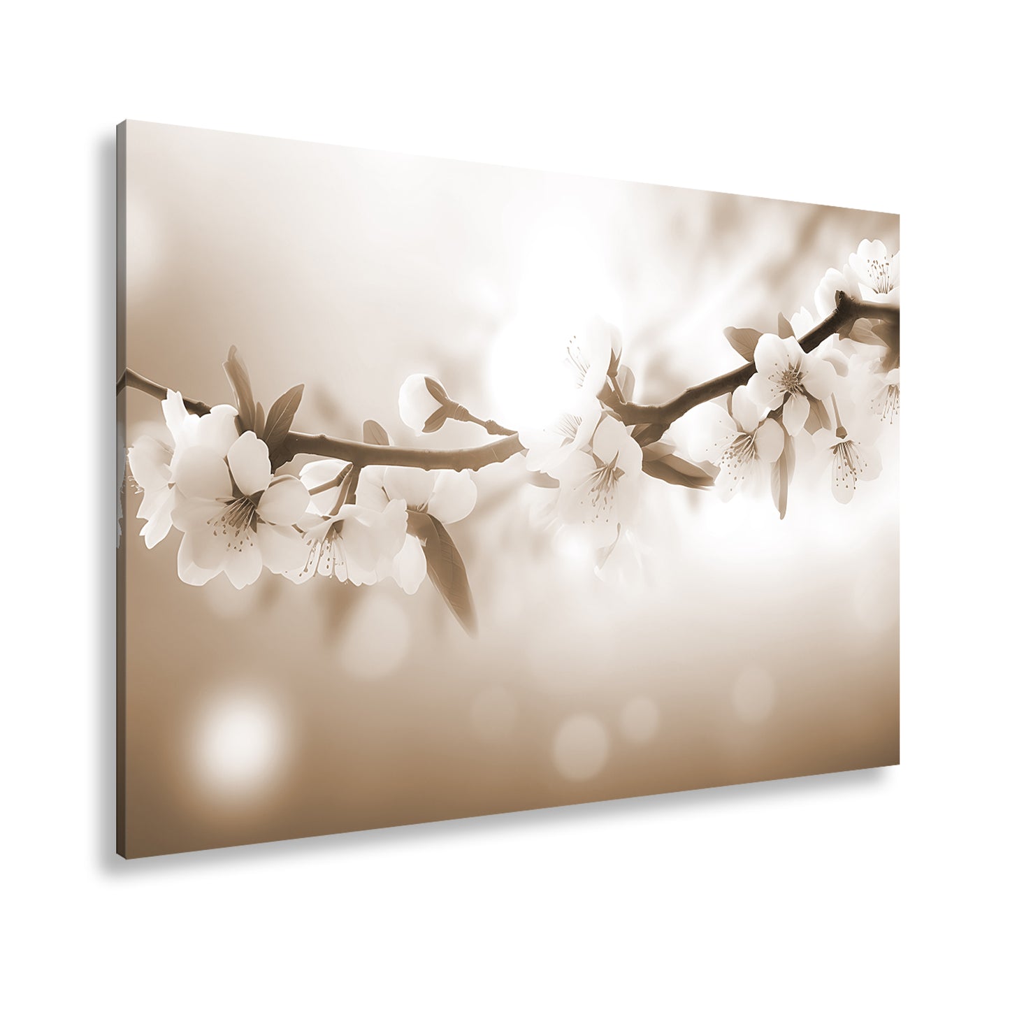 Hauptbild Sepia Standart