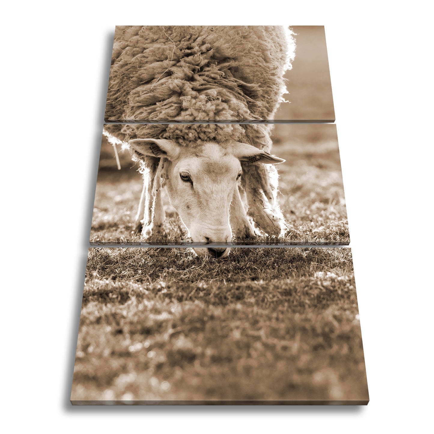 Hauptbild Sepia 3 Teilig