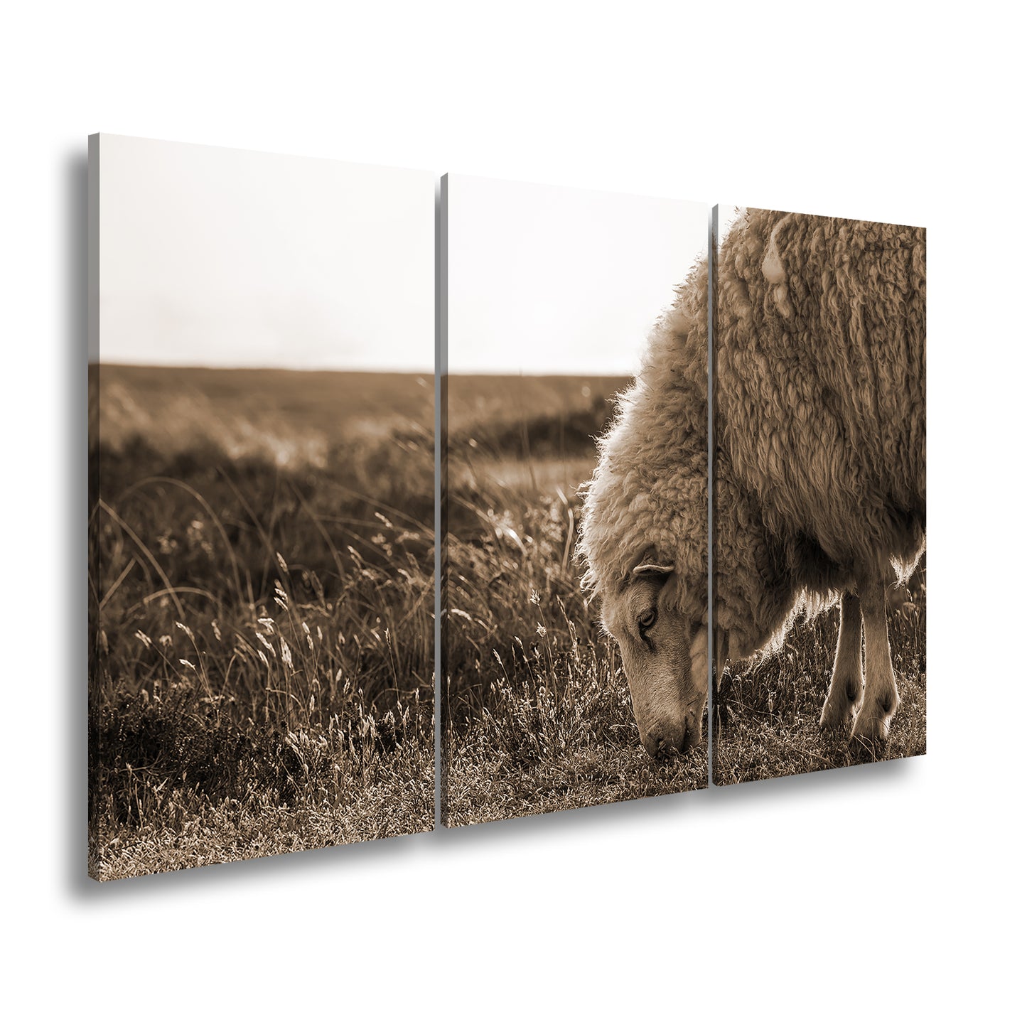 Hauptbild Sepia 3 Teilig