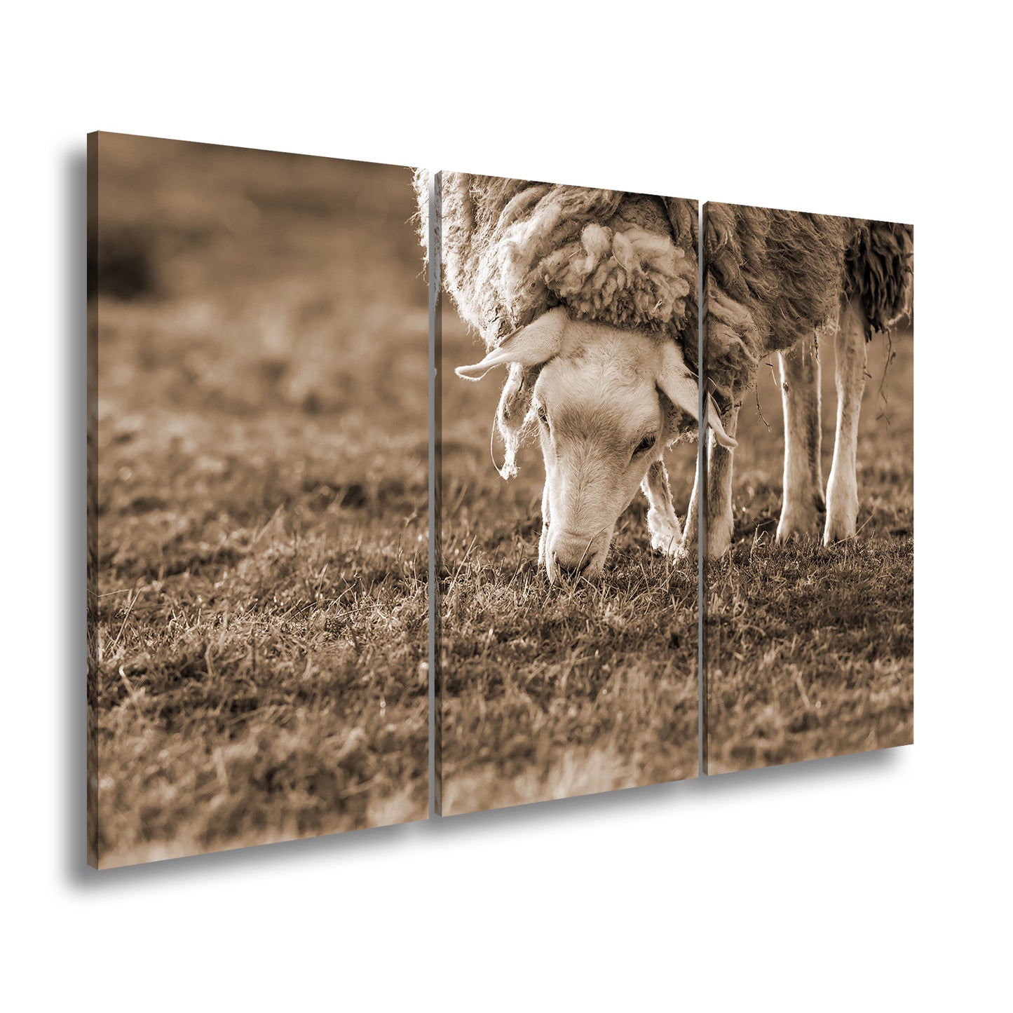 Hauptbild Sepia 3 Teilig