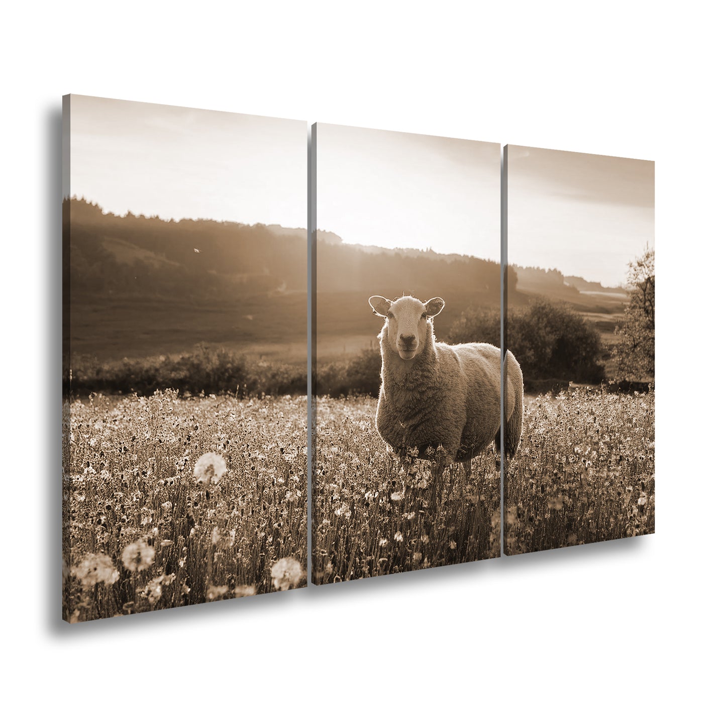 Hauptbild Sepia 3 Teilig