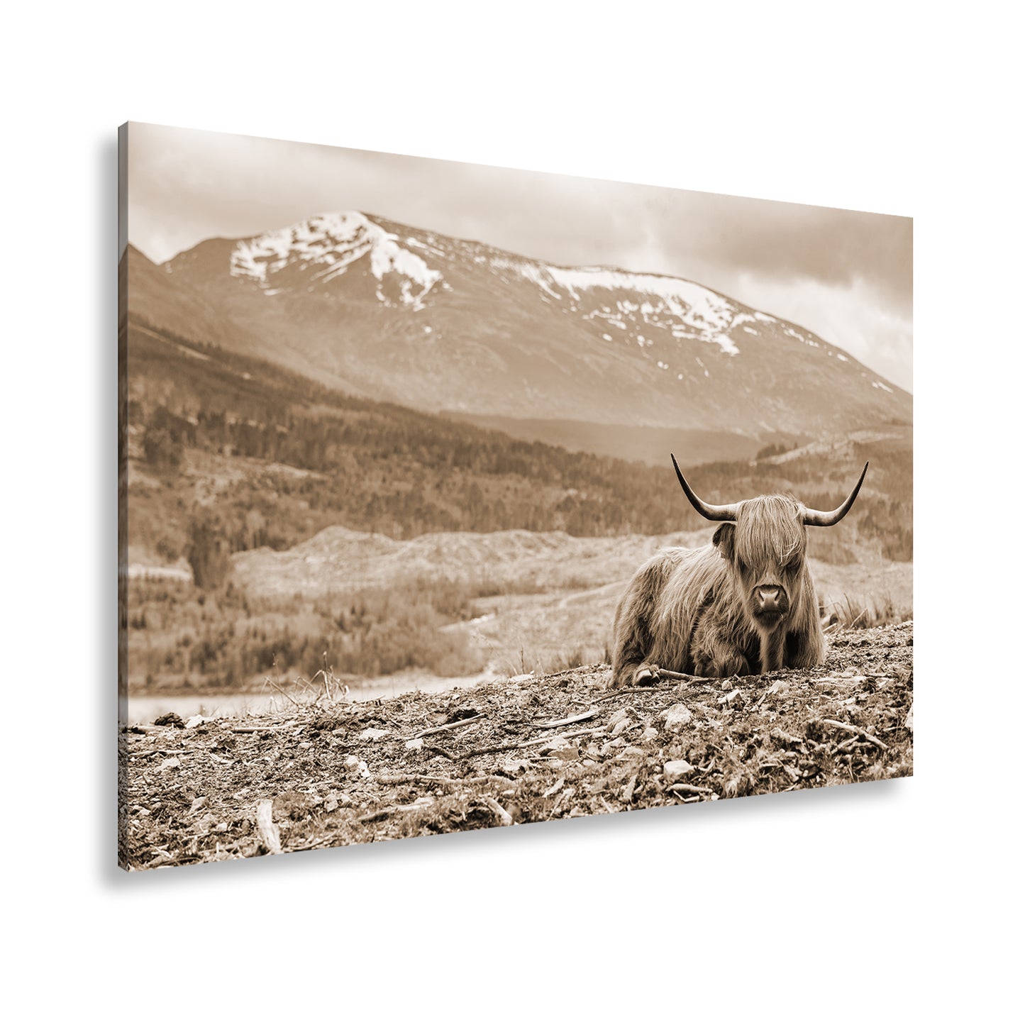 Hauptbild Sepia Standart