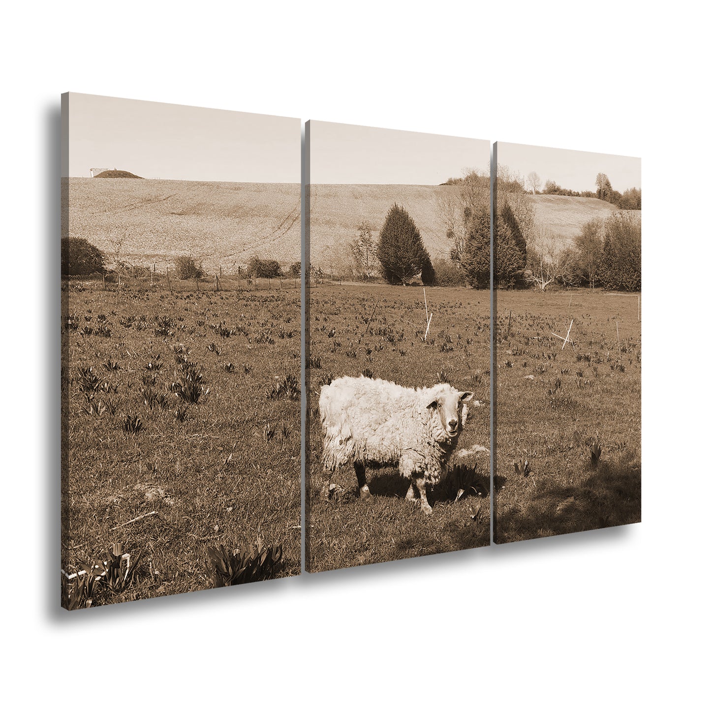 Hauptbild Sepia 3 Teilig