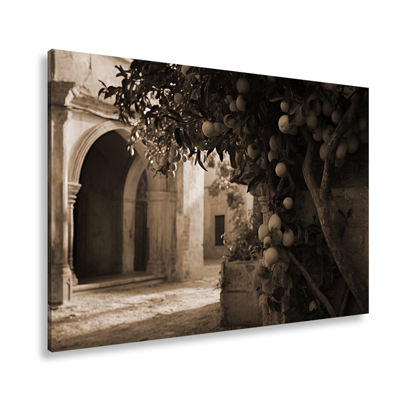Hauptbild Sepia Standart