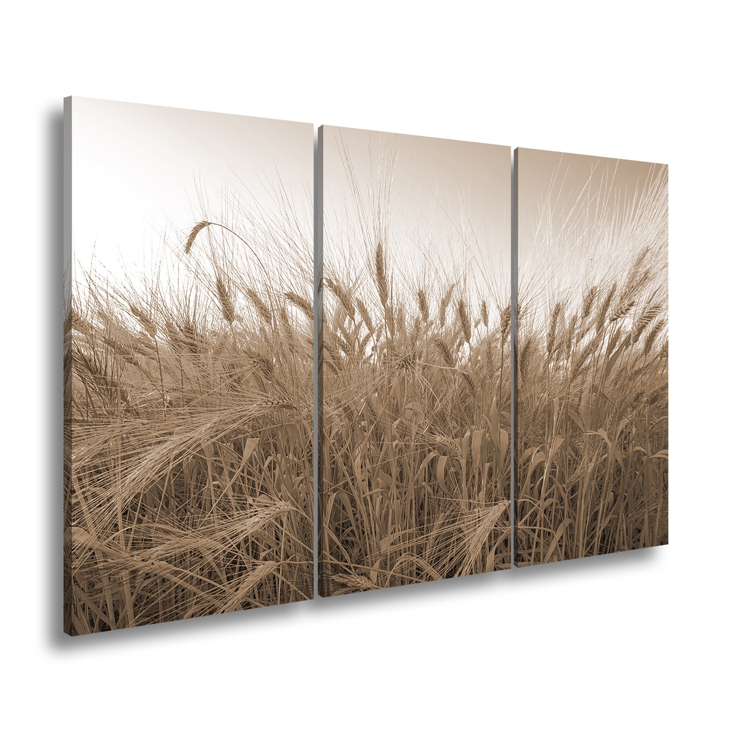 Hauptbild Sepia 3 Teilig