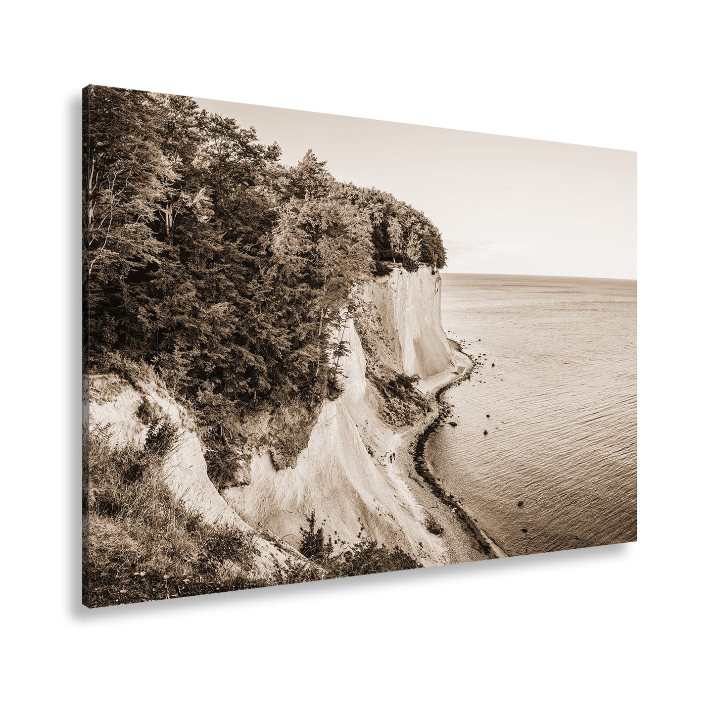 Hauptbild Sepia Standart