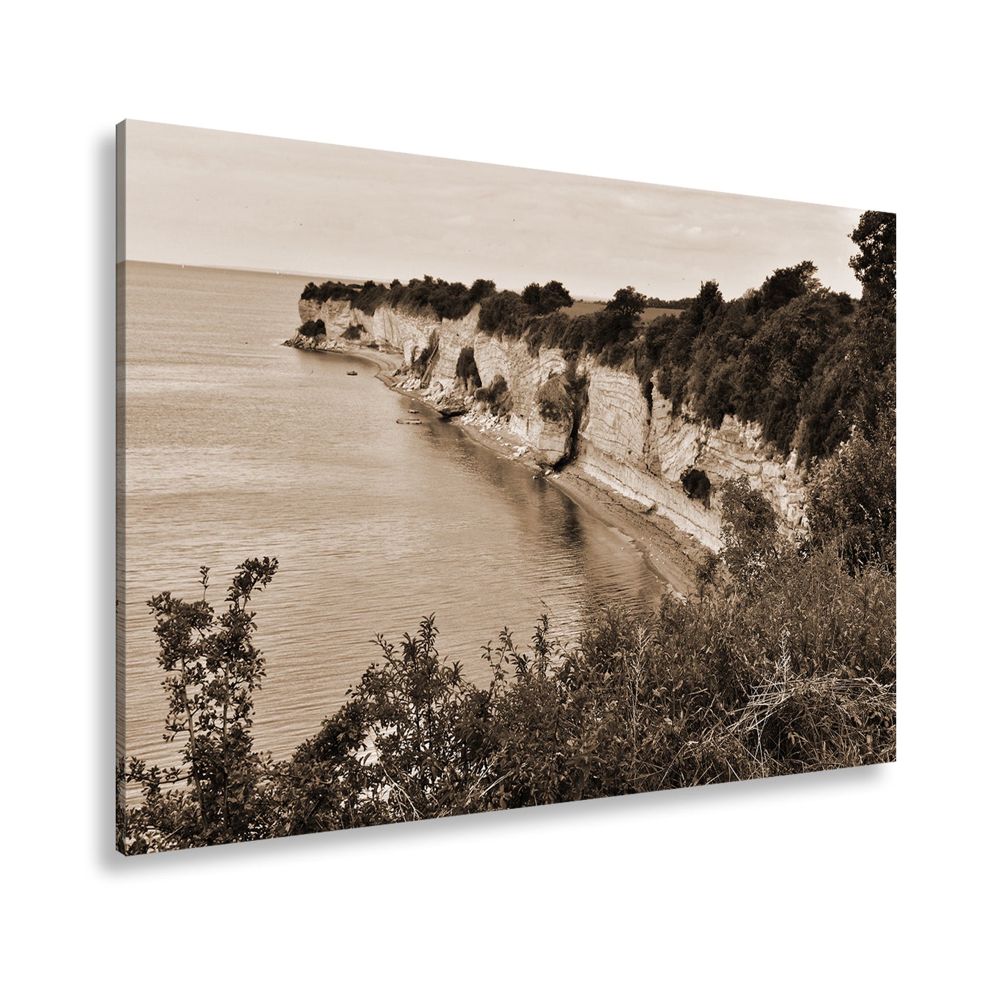 Hauptbild Sepia Standart