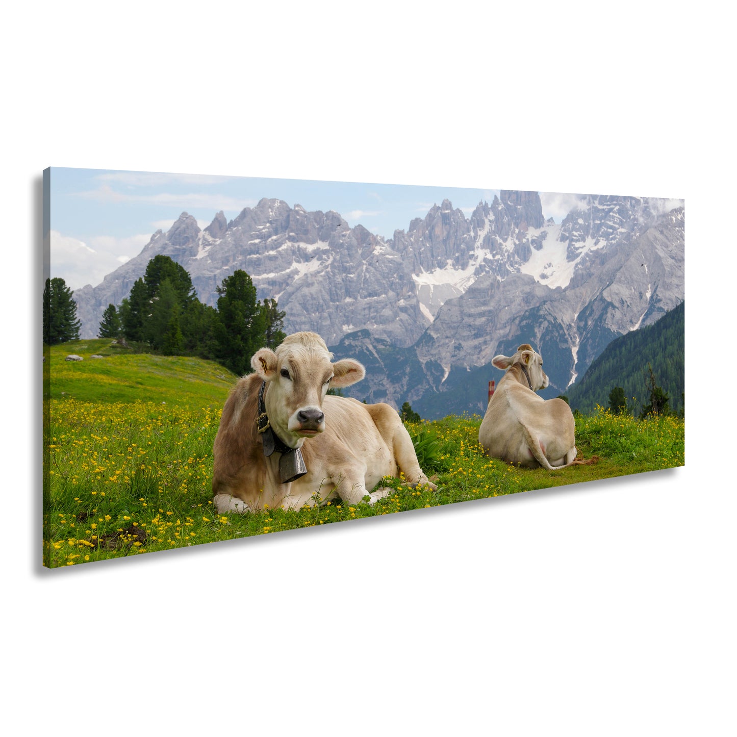 Hauptbild Farbig Panorama