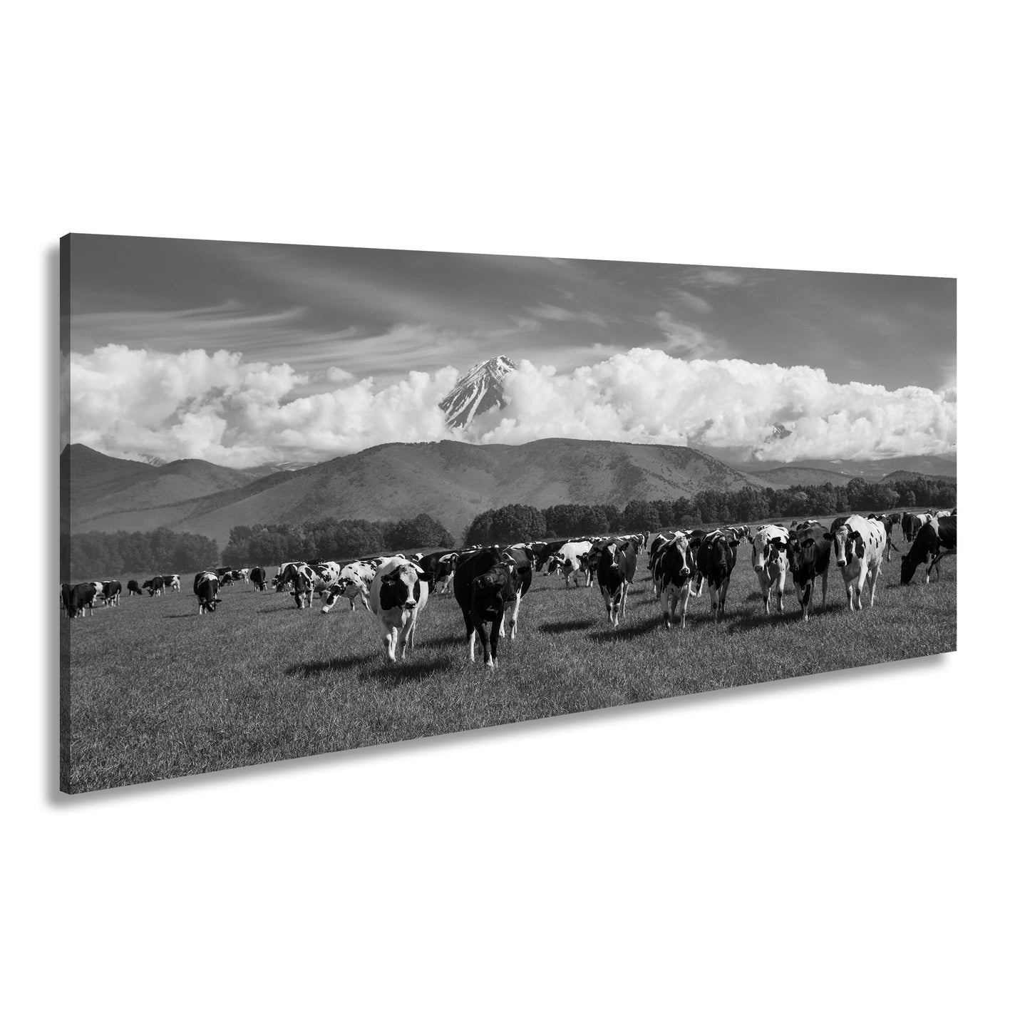 Hauptbild Schwarz & Weiß Panorama