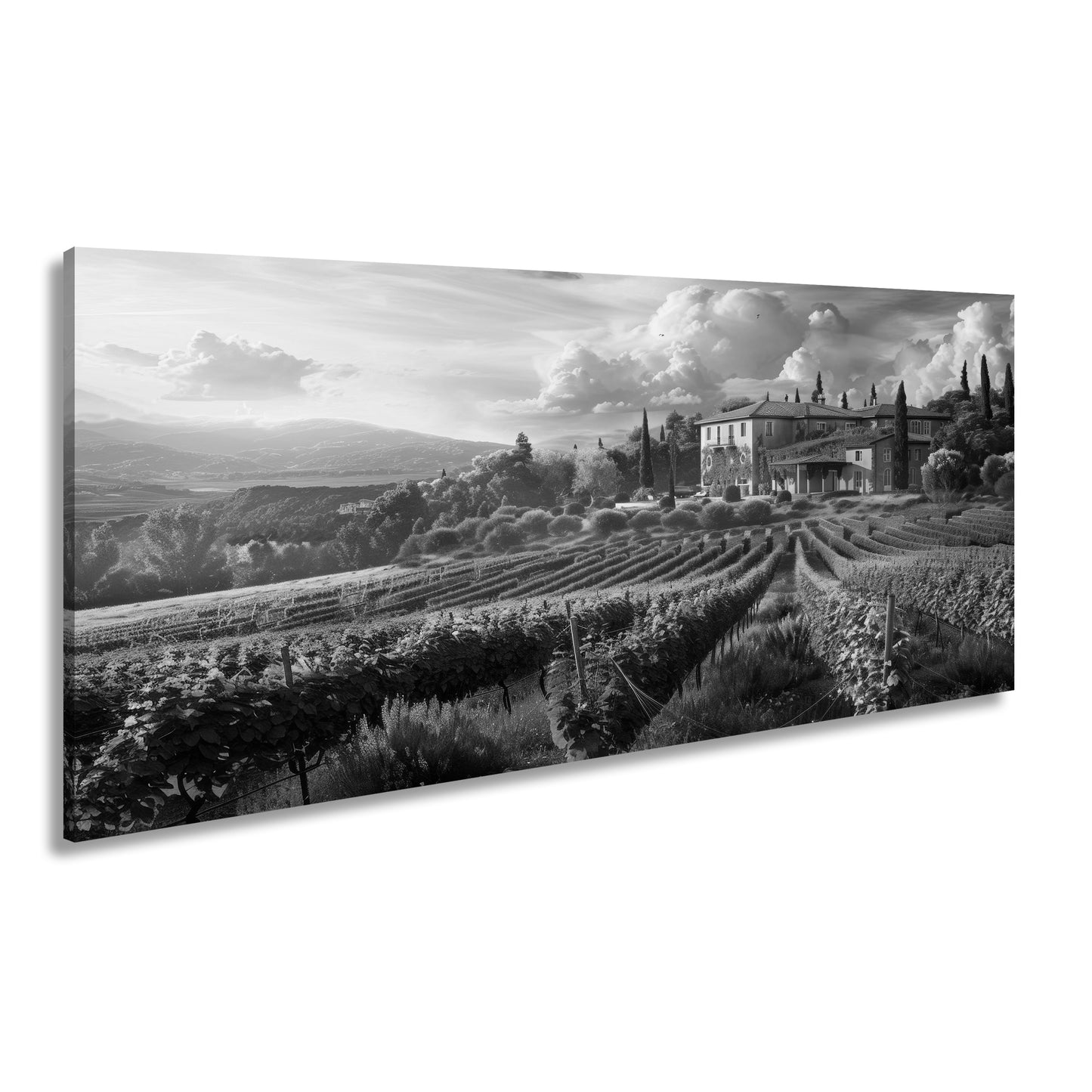 Hauptbild Schwarz & Weiß Panorama