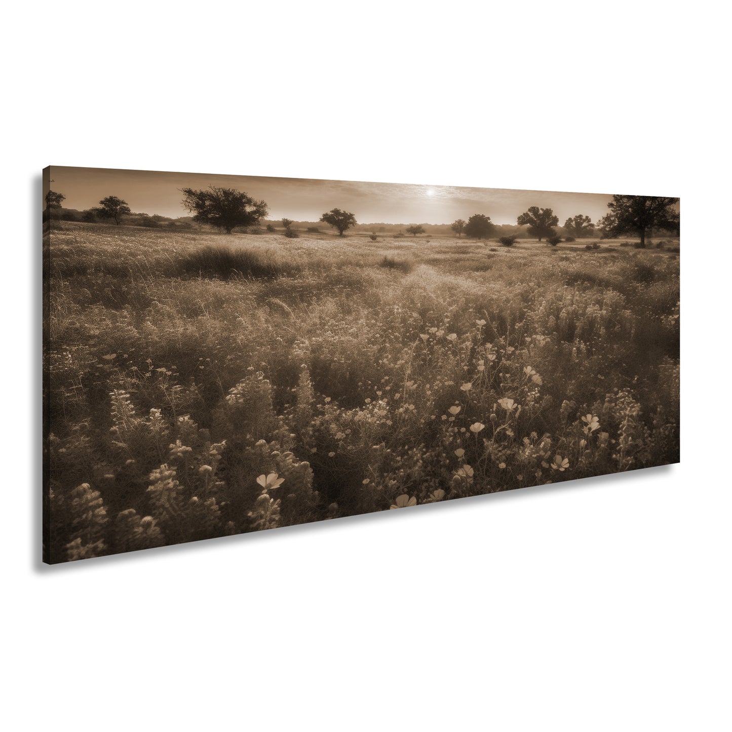 Hauptbild Sepia Panorama