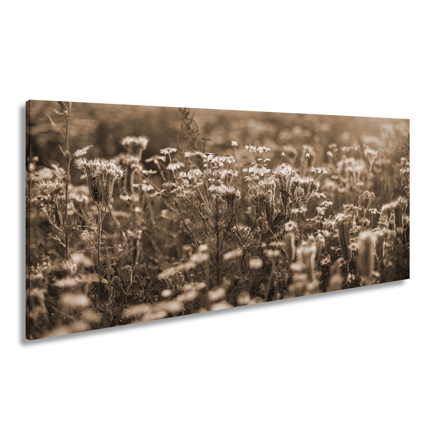 Hauptbild Sepia Panorama