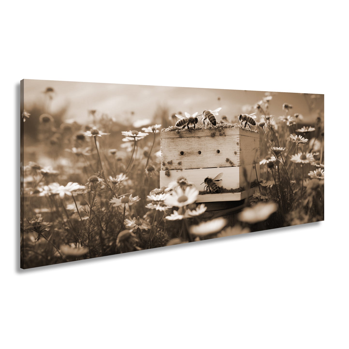 Hauptbild Sepia Panorama