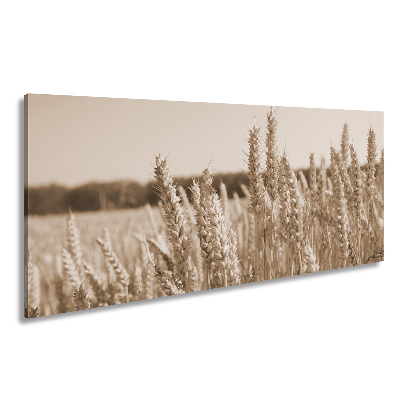 Hauptbild Sepia Panorama