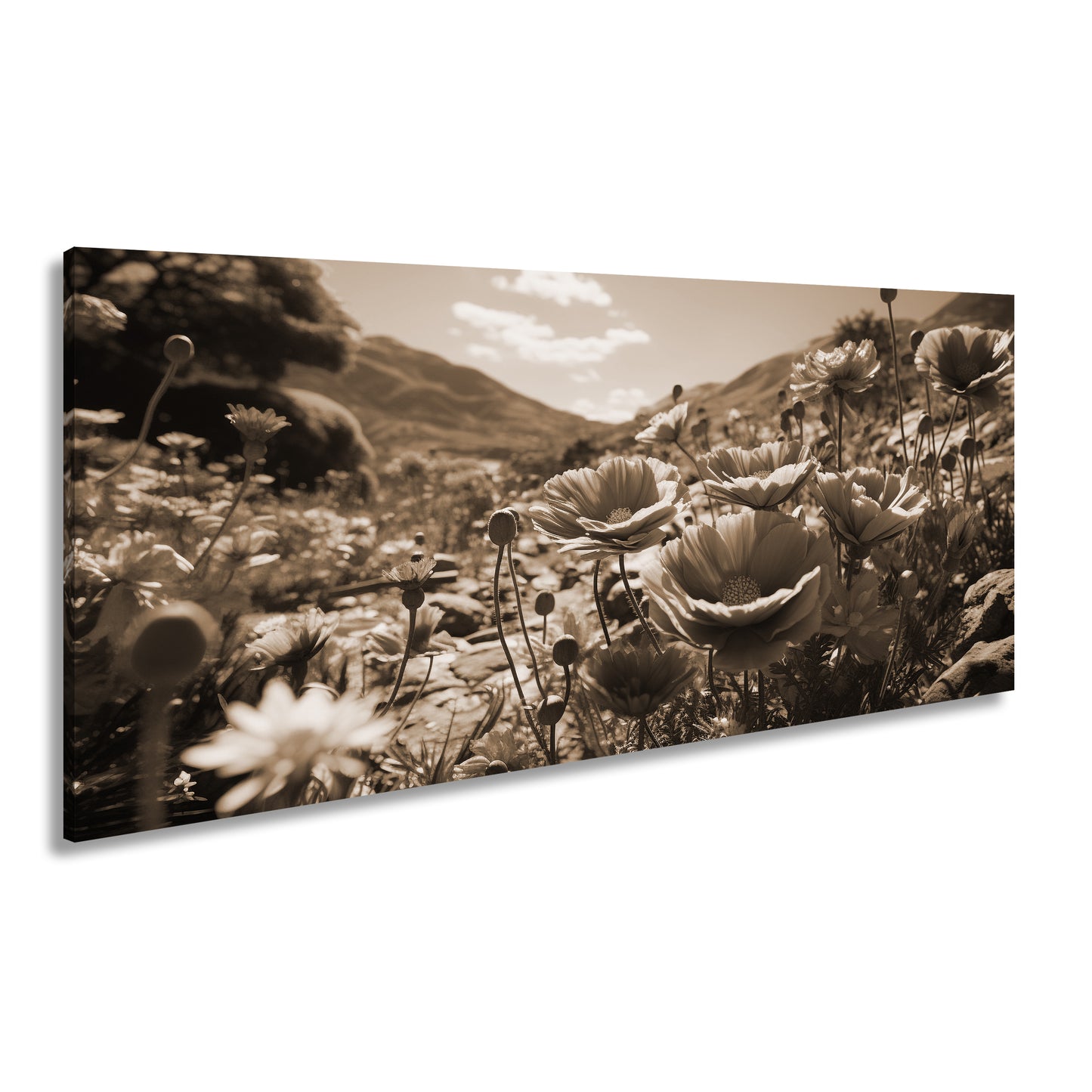 Hauptbild Sepia Panorama