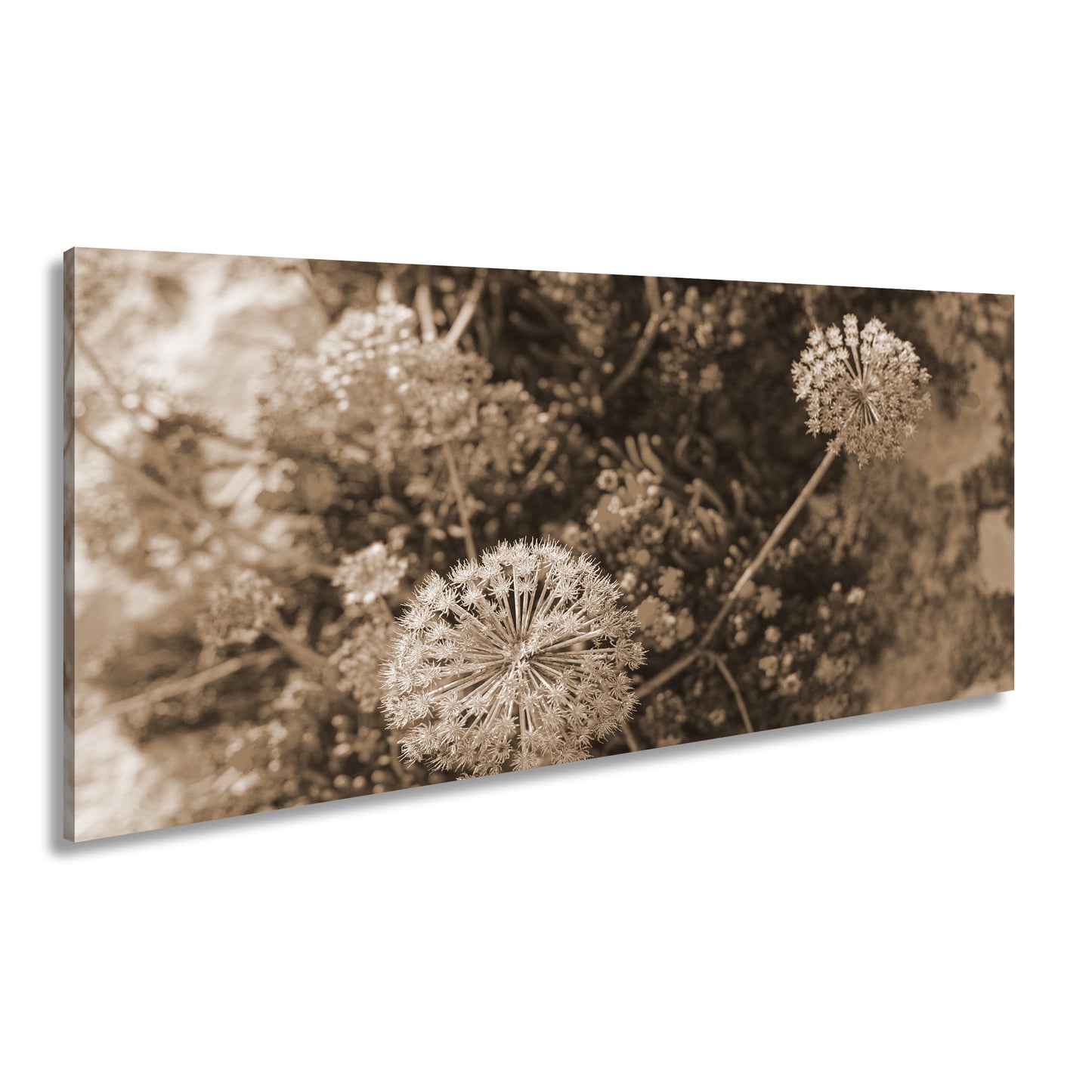 Hauptbild Sepia Panorama
