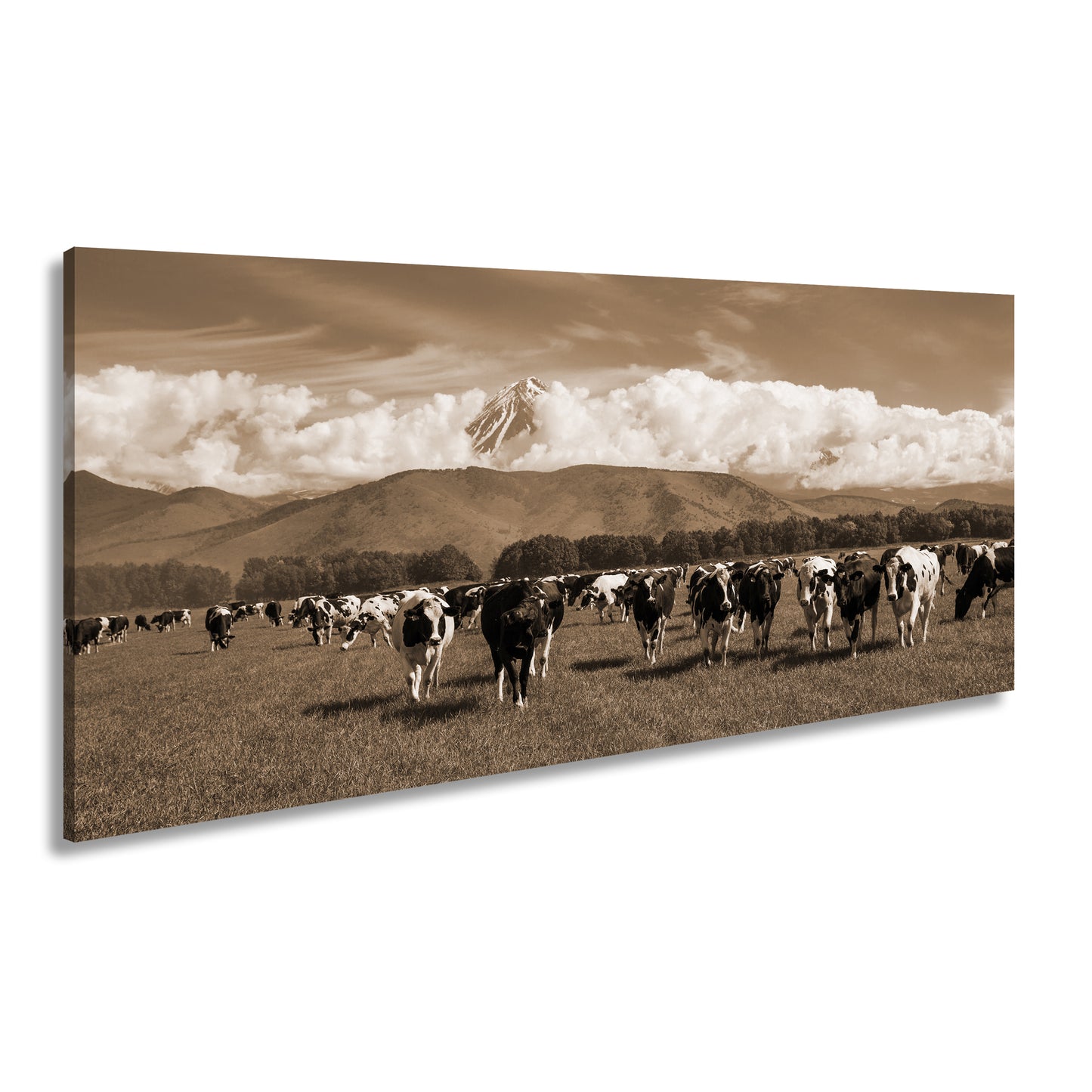 Hauptbild Sepia Panorama