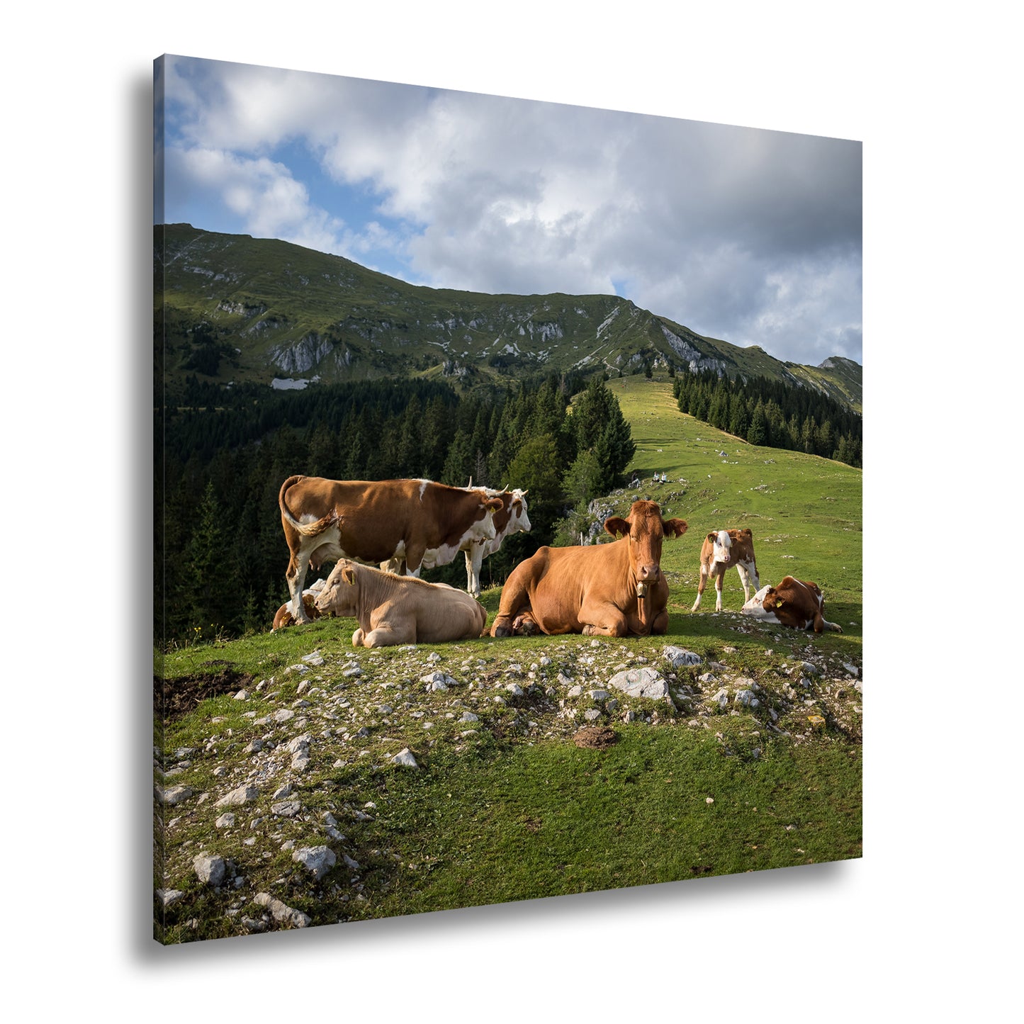 Hauptbild Farbig Quadratisch