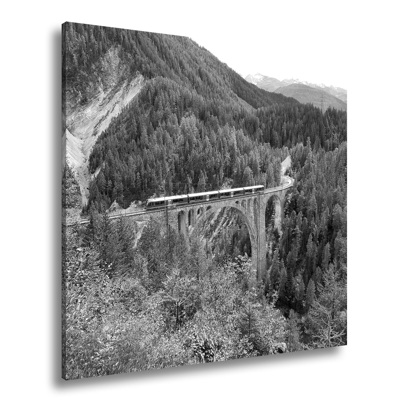 Hauptbild Schwarz & Weiß Quadratisch