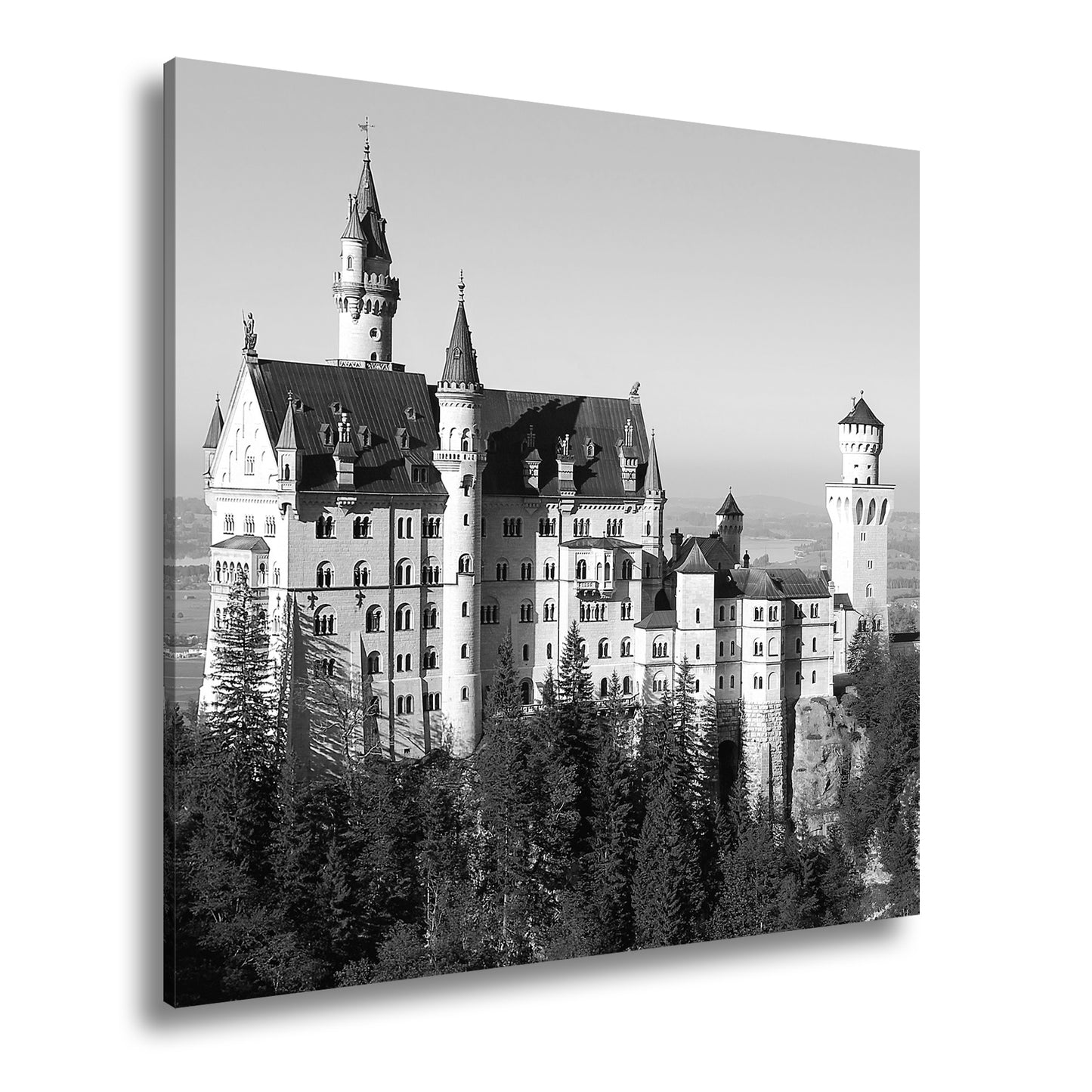Hauptbild Schwarz & Weiß Quadratisch