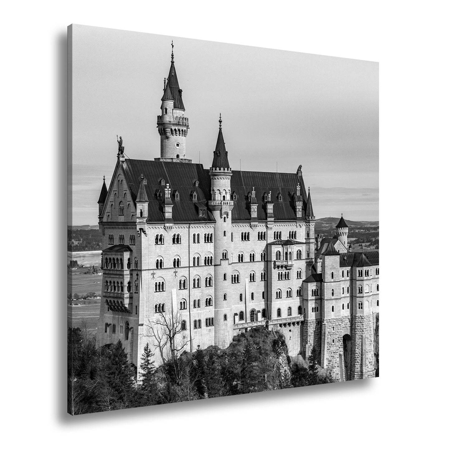 Hauptbild Schwarz & Weiß Quadratisch