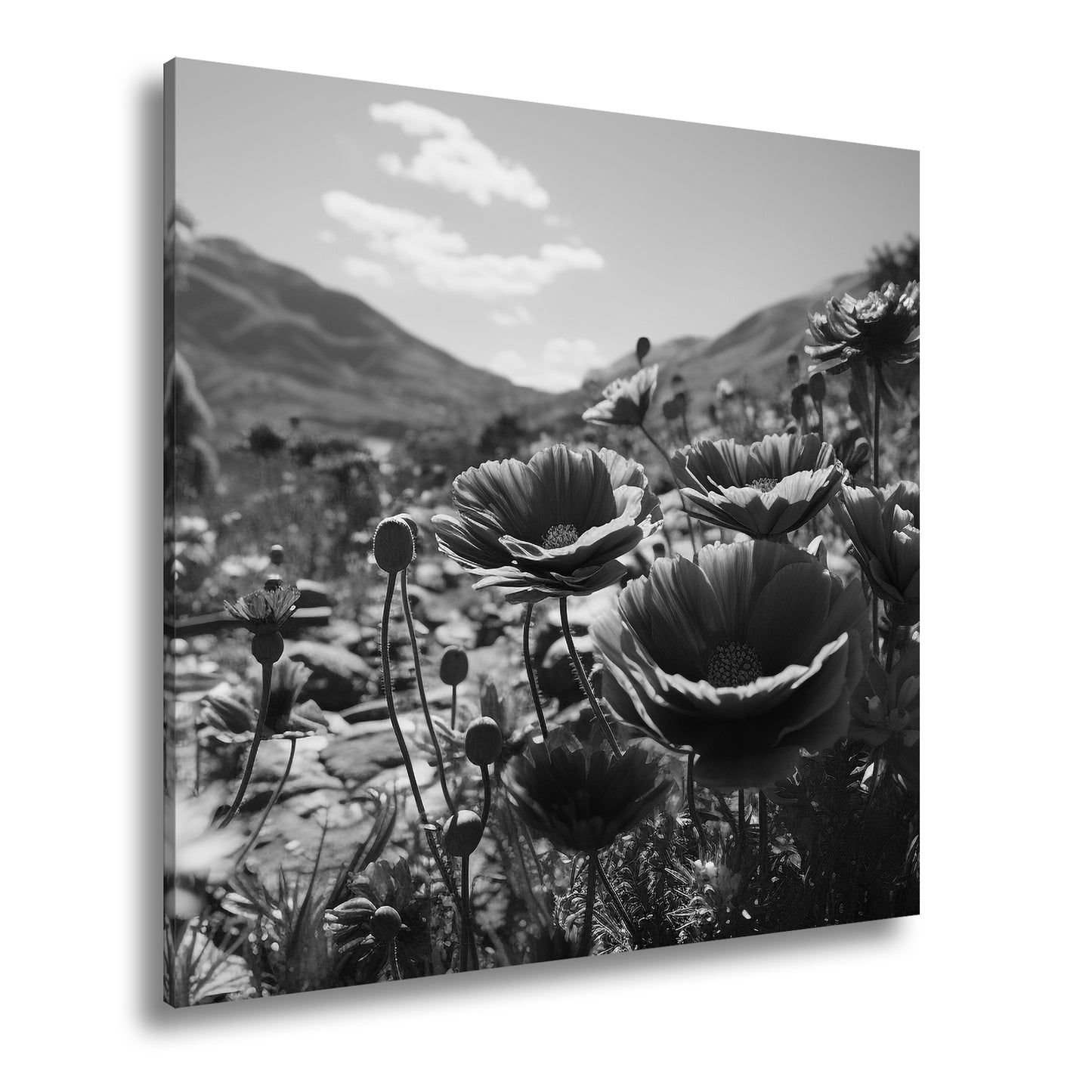 Hauptbild Schwarz & Weiß Quadratisch