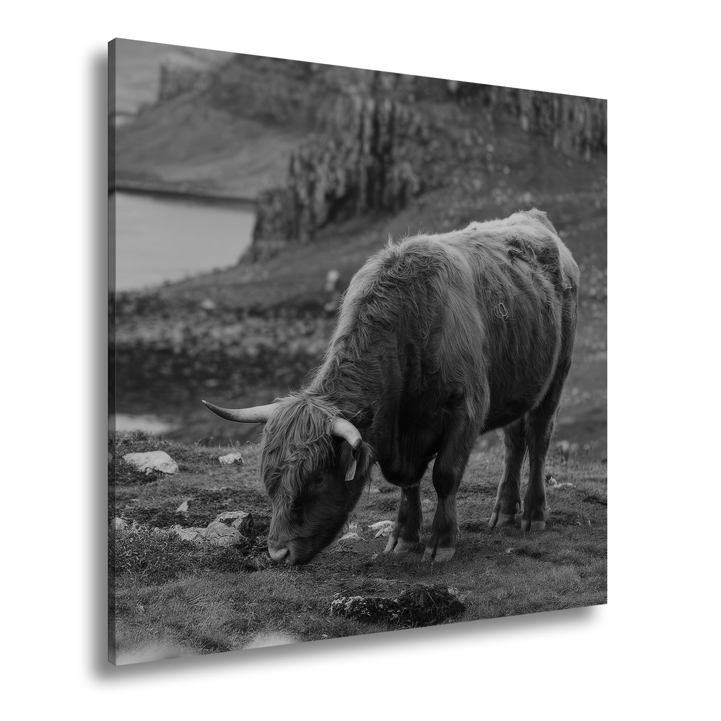 Hauptbild Schwarz & Weiß Quadratisch