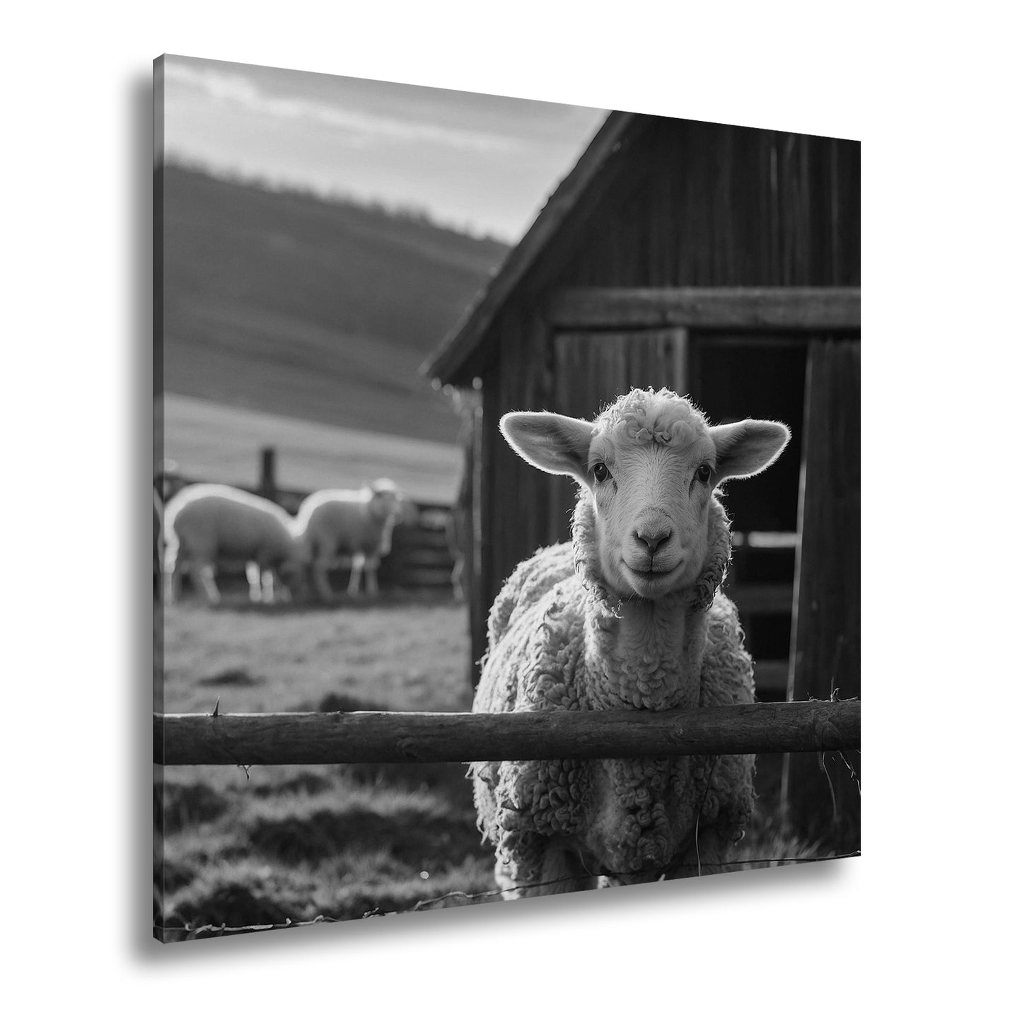 Hauptbild Schwarz & Weiß Quadratisch