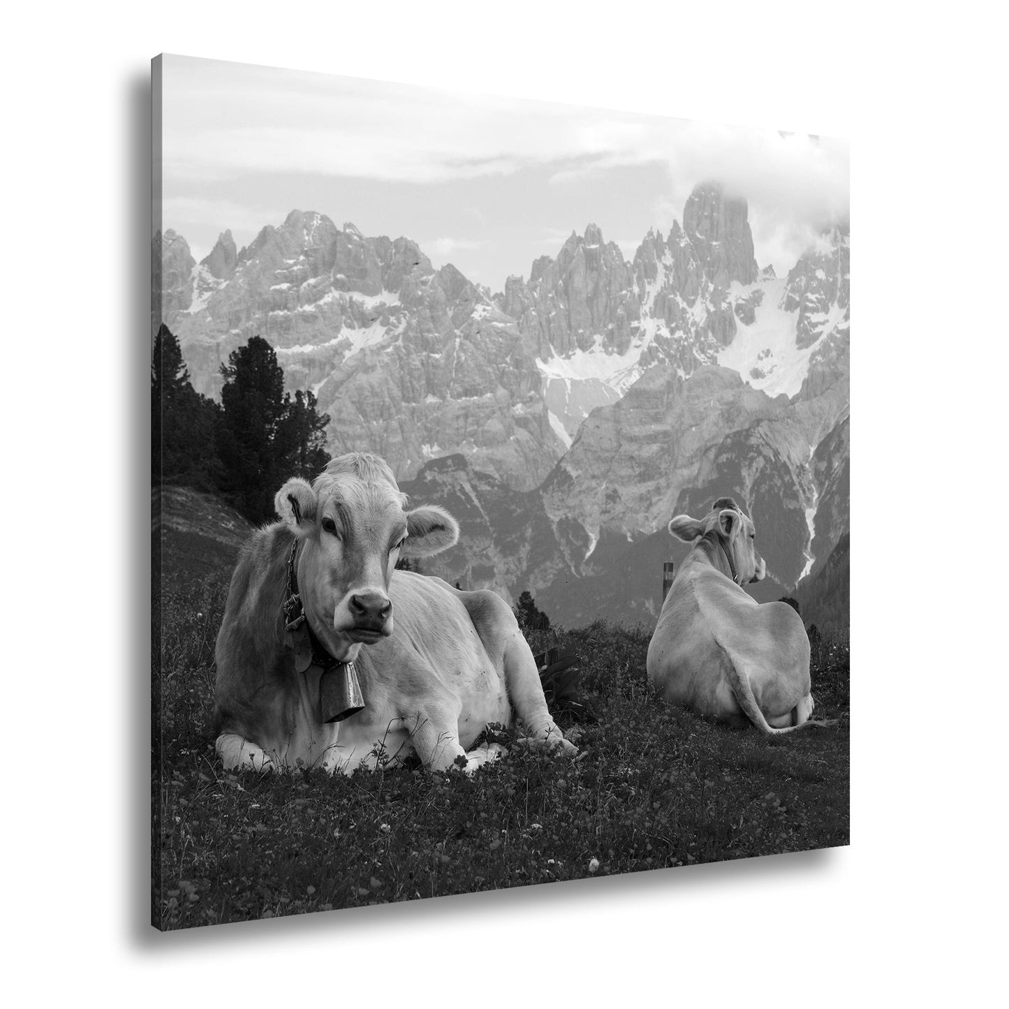 Hauptbild Schwarz & Weiß Quadratisch