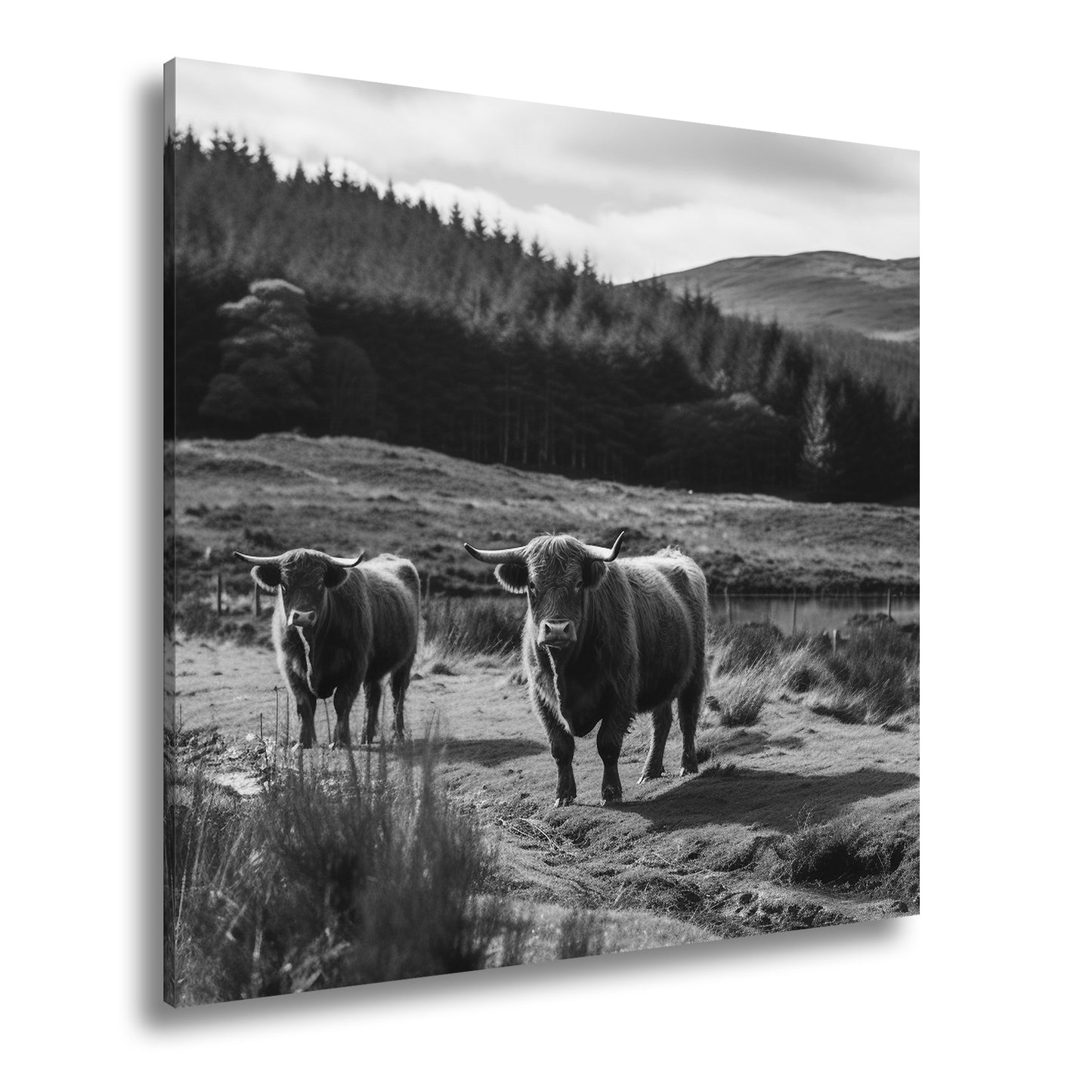 Hauptbild Schwarz & Weiß Quadratisch