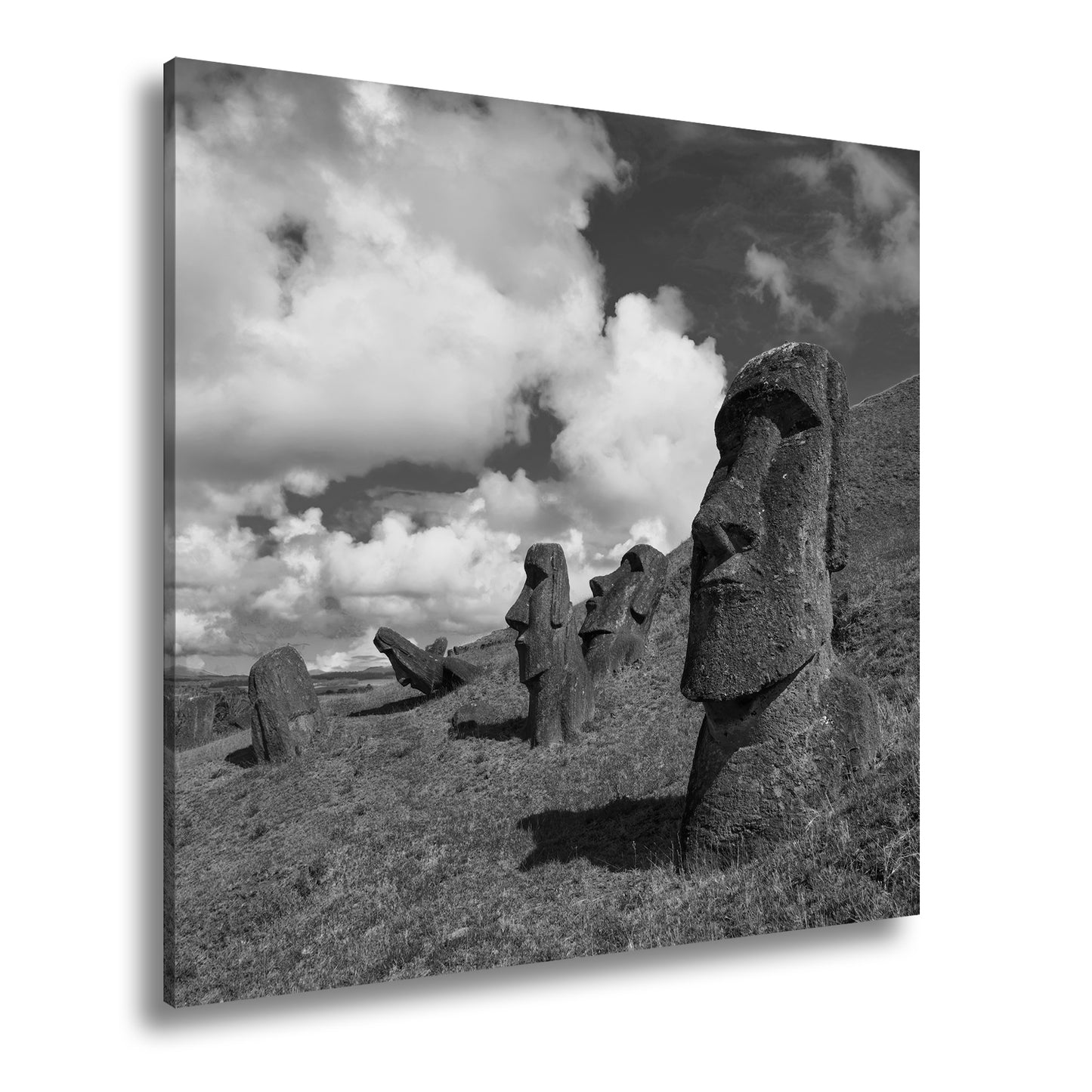 Hauptbild Schwarz & Weiß Quadratisch