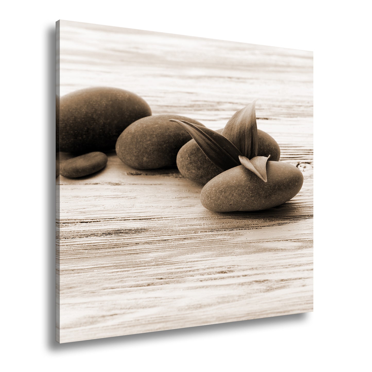 Hauptbild Sepia Quadratisch