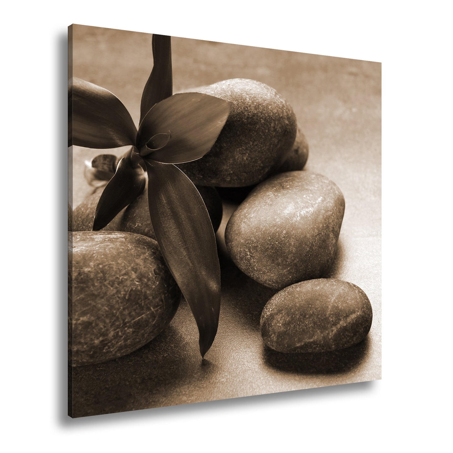 Hauptbild Sepia Quadratisch