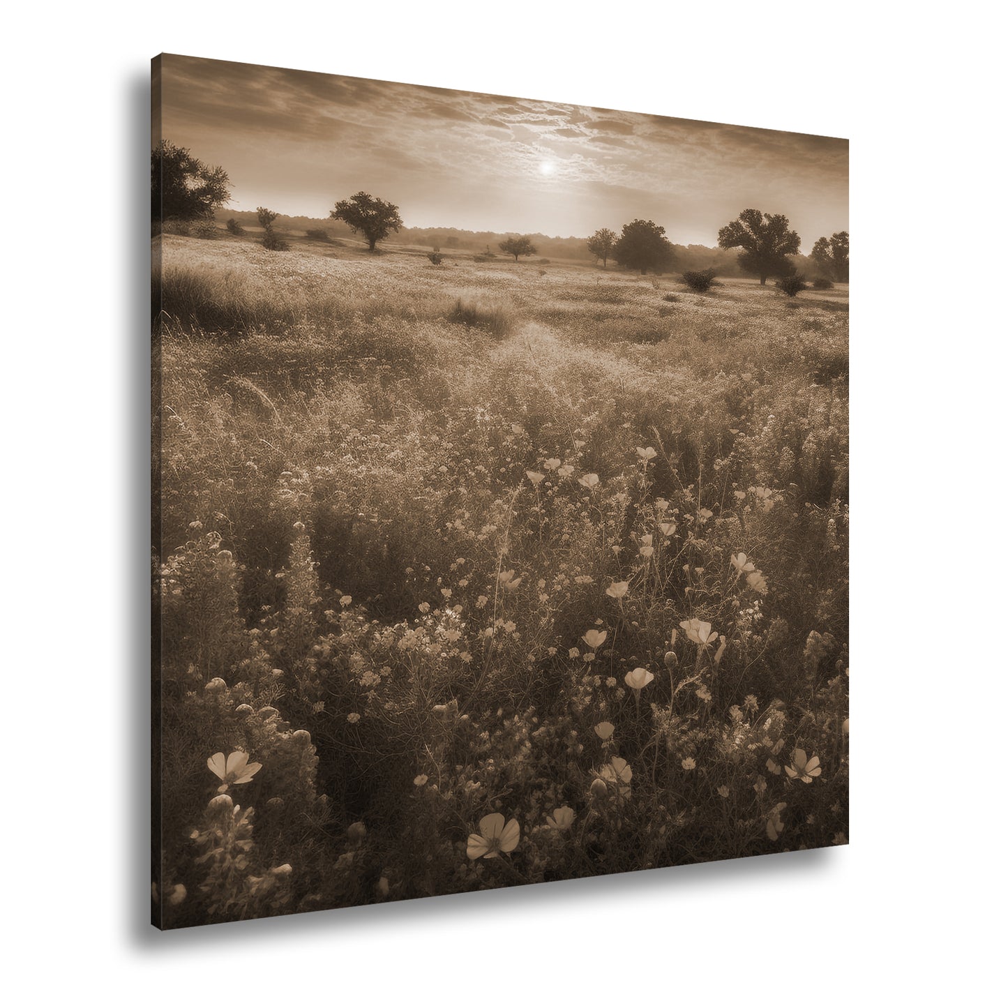 Hauptbild Sepia Quadratisch