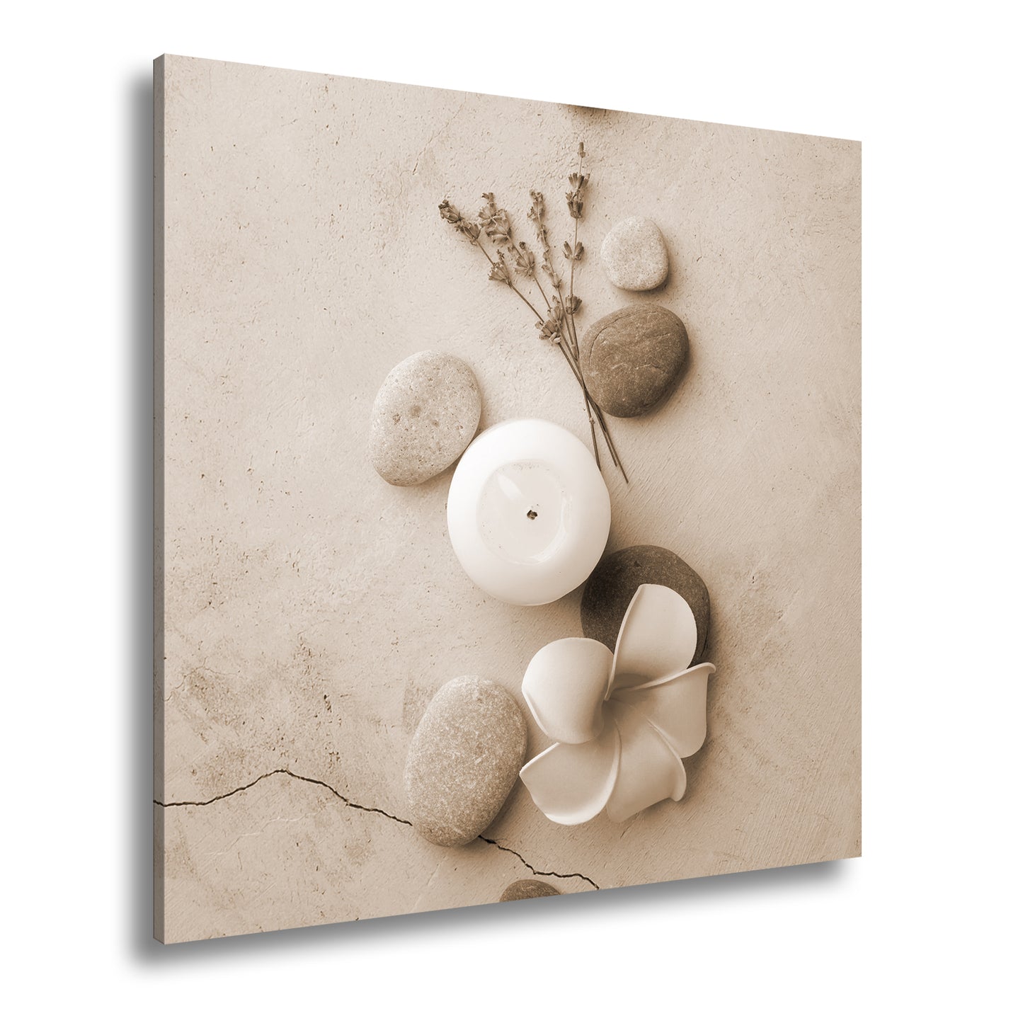 Hauptbild Sepia Quadratisch