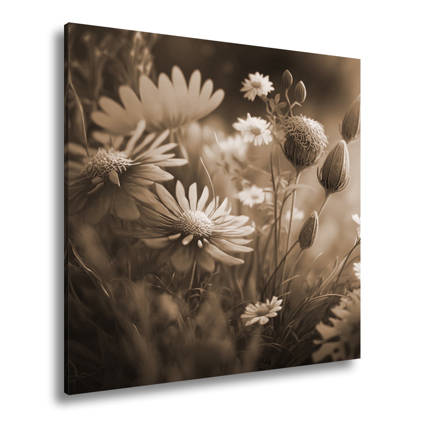 Hauptbild Sepia Quadratisch