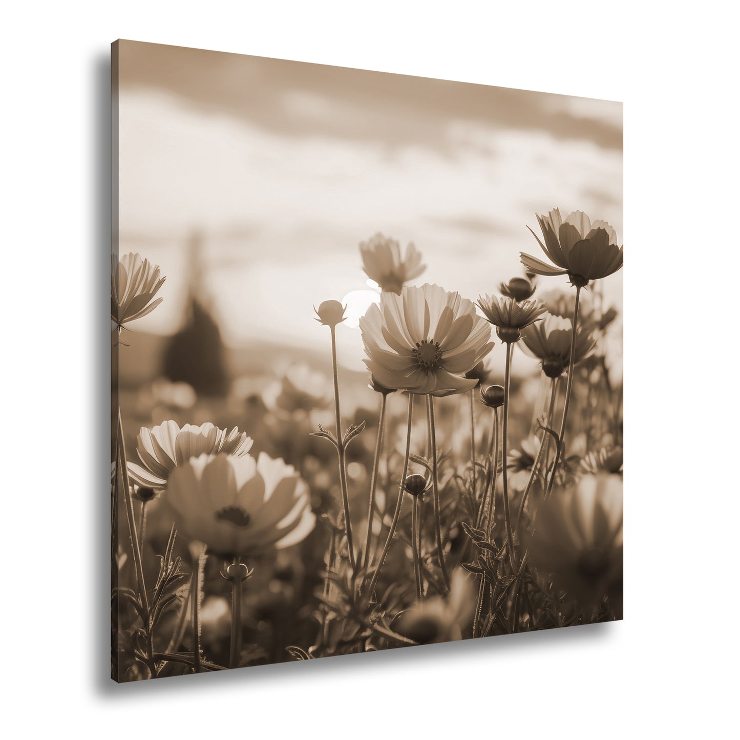 Hauptbild Sepia Quadratisch