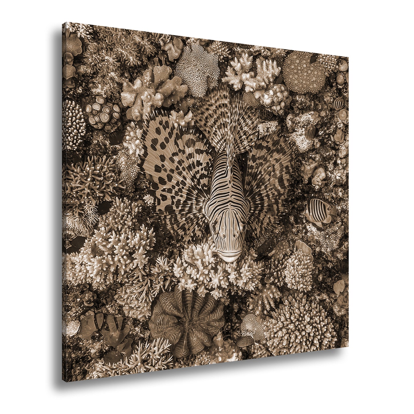 Hauptbild Sepia Quadratisch