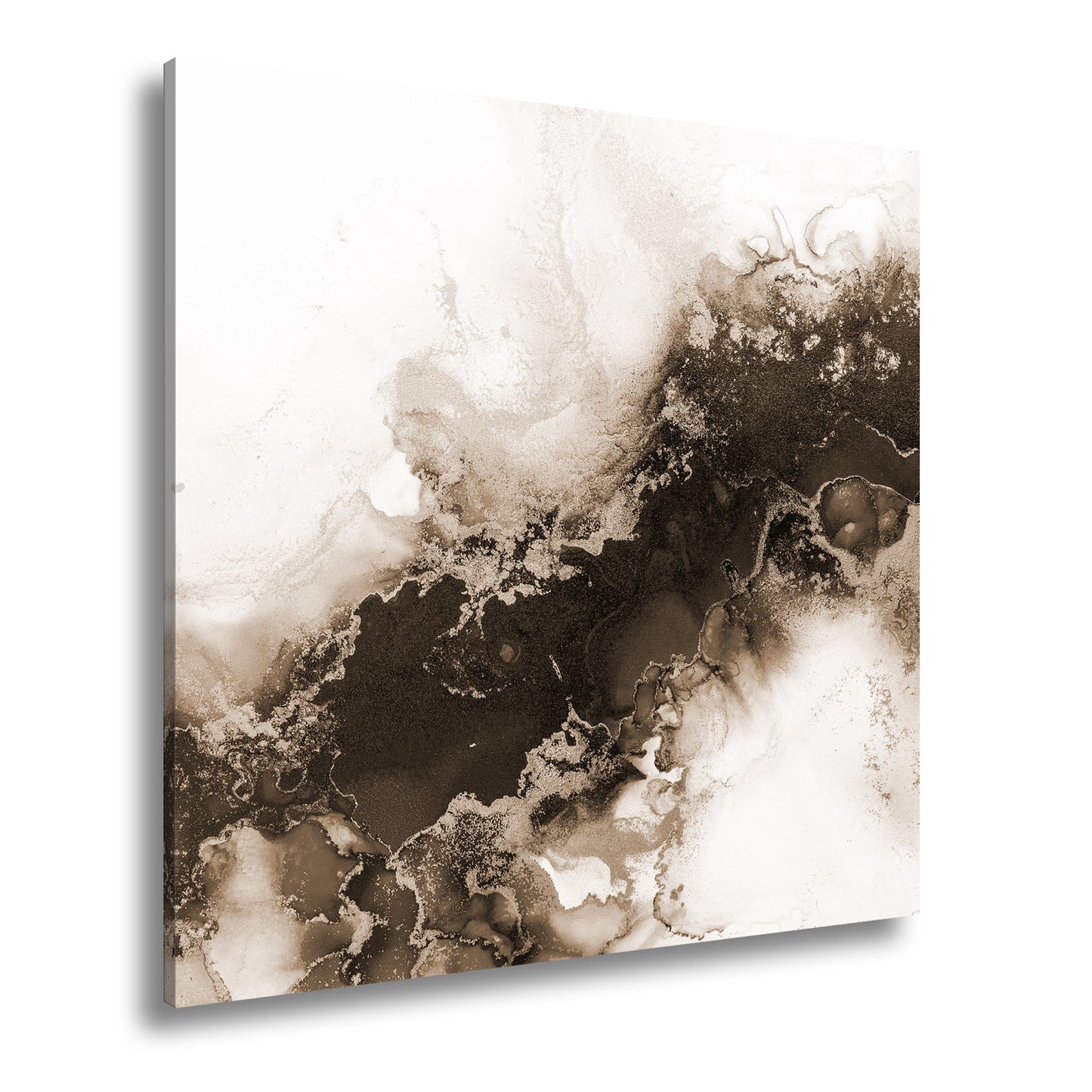 Hauptbild Sepia Quadratisch