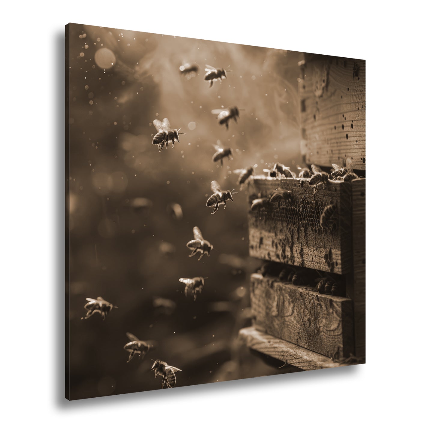 Hauptbild Sepia Quadratisch