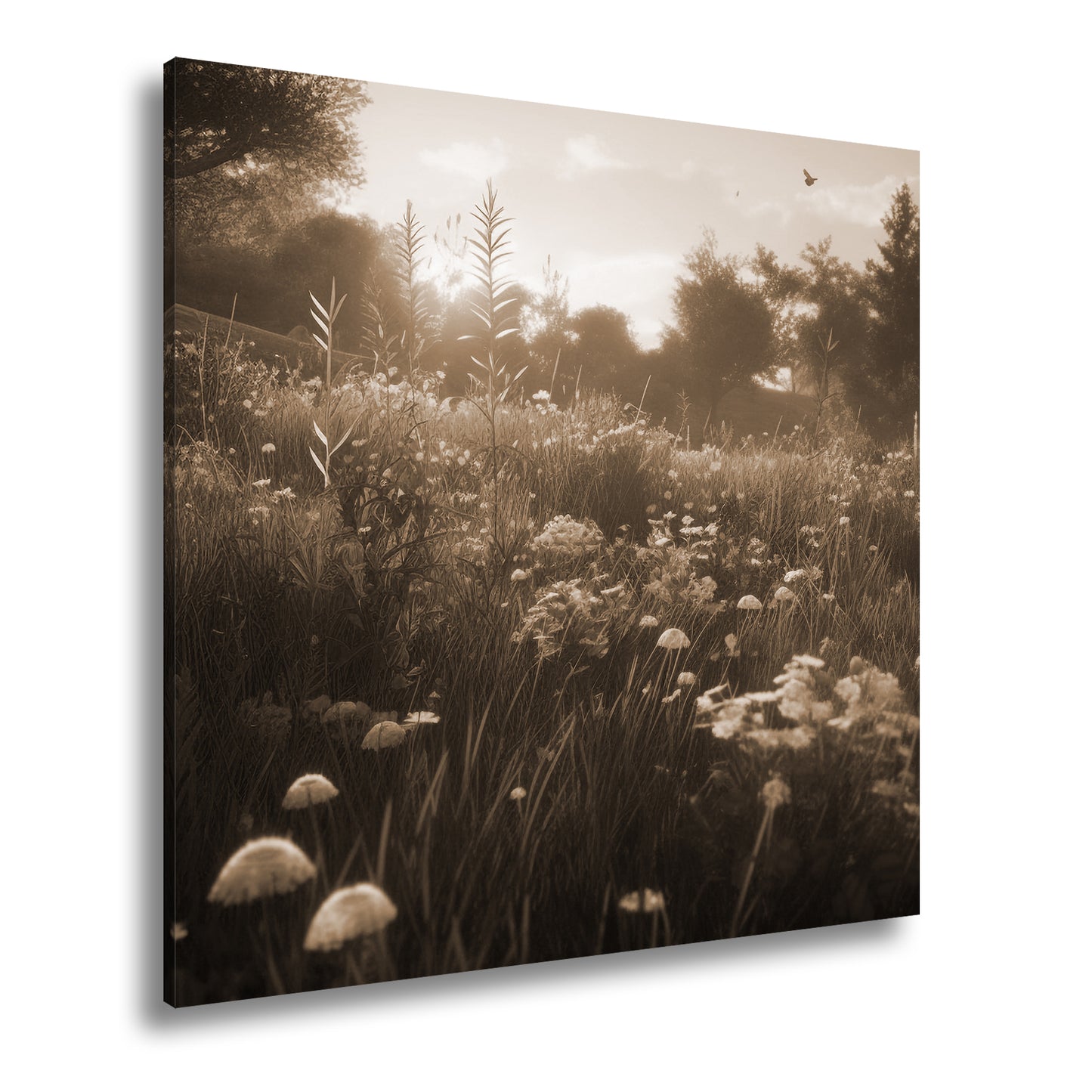 Hauptbild Sepia Quadratisch